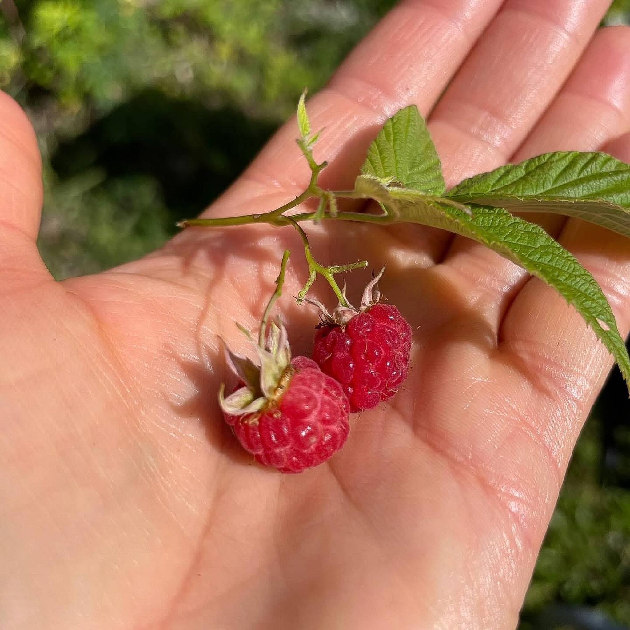 2 rum Fritidshus på Bofinkvägen 7 Söderhamns kommun - bild 26