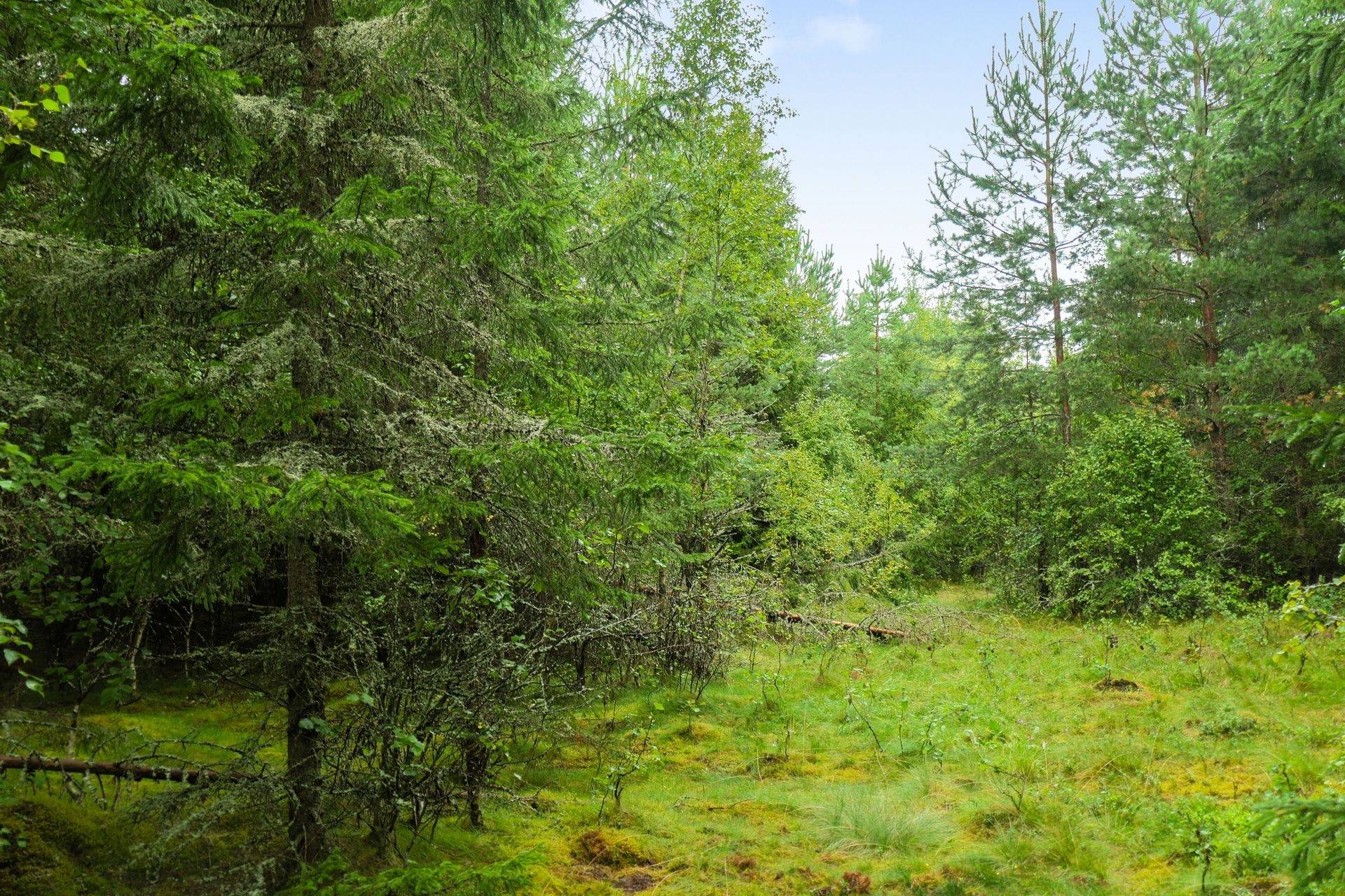 Gård/skog på Galneryd 1 Hjo kommun - bild 5