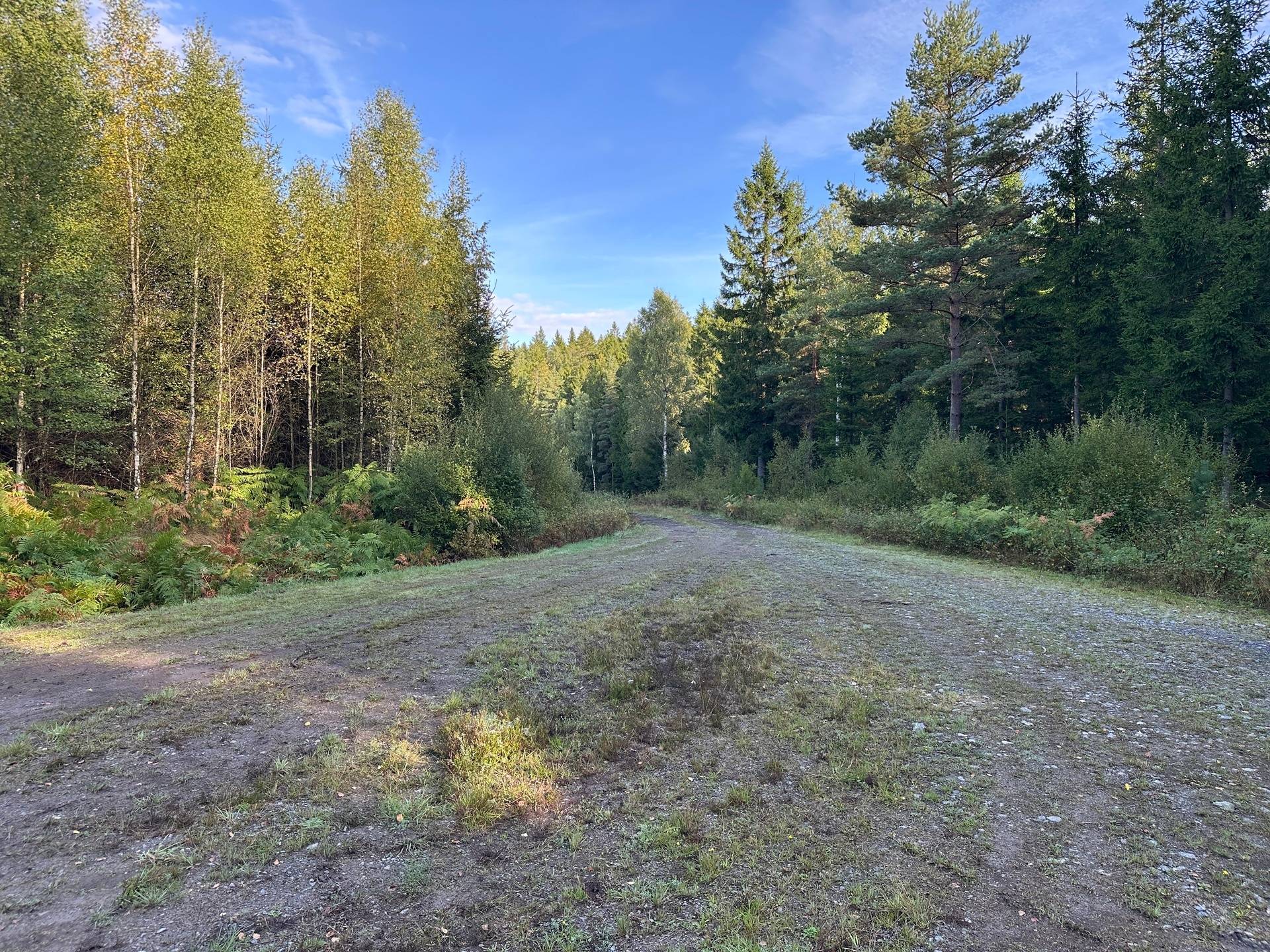 Gård med skogsbruk på MARK ANABÄCKSHULT 2:14 Anabäckshult Marks kommun - bild 15