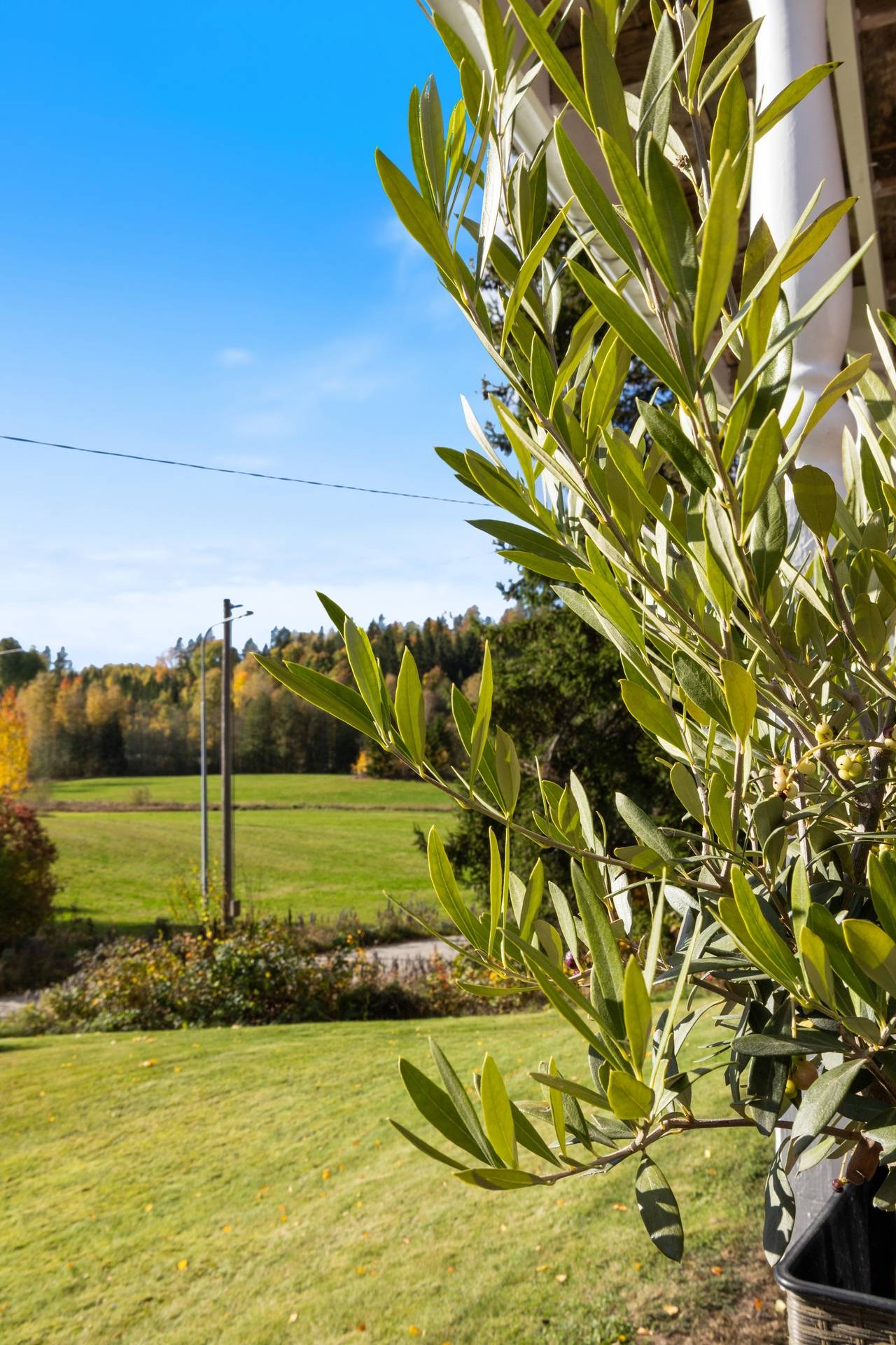 4 rum Villa på Kronan Bråten 1 Brunskog Arvika kommun - bild 40