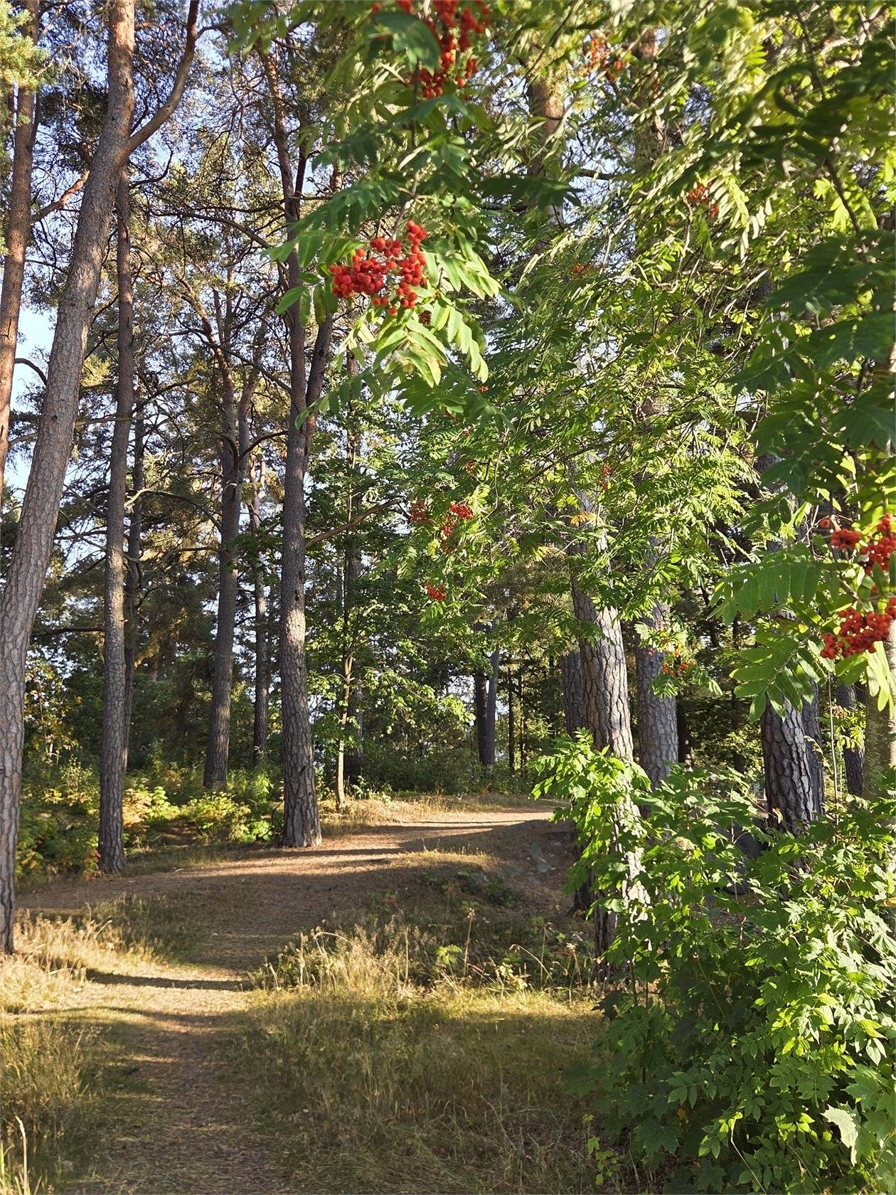 2 rum Lägenhet på Oldevigsgatan 1 Sommarro Karlstads kommun - bild 23