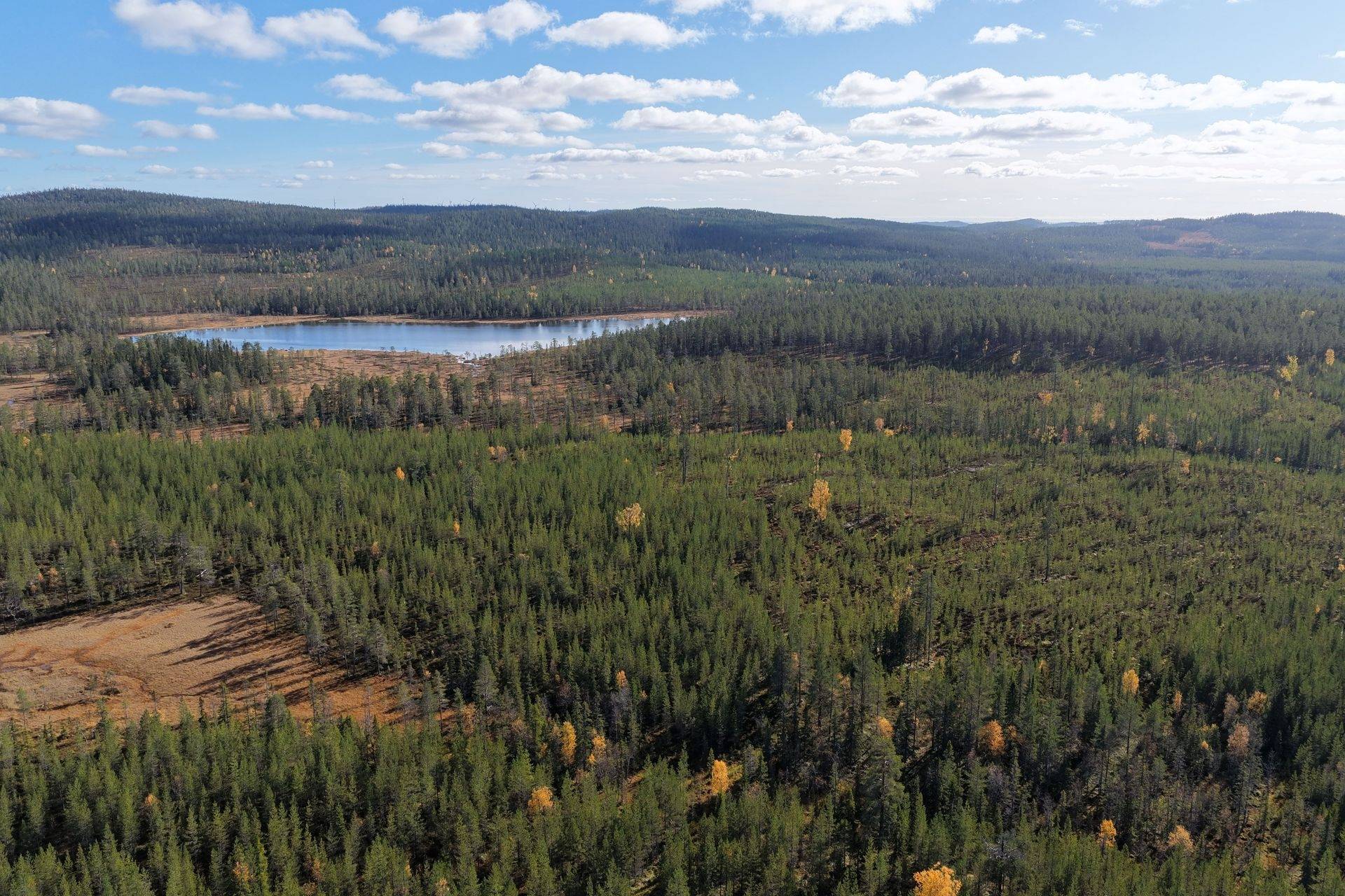 Gård/skog på Limbäck 103:2 Mora kommun - bild 9
