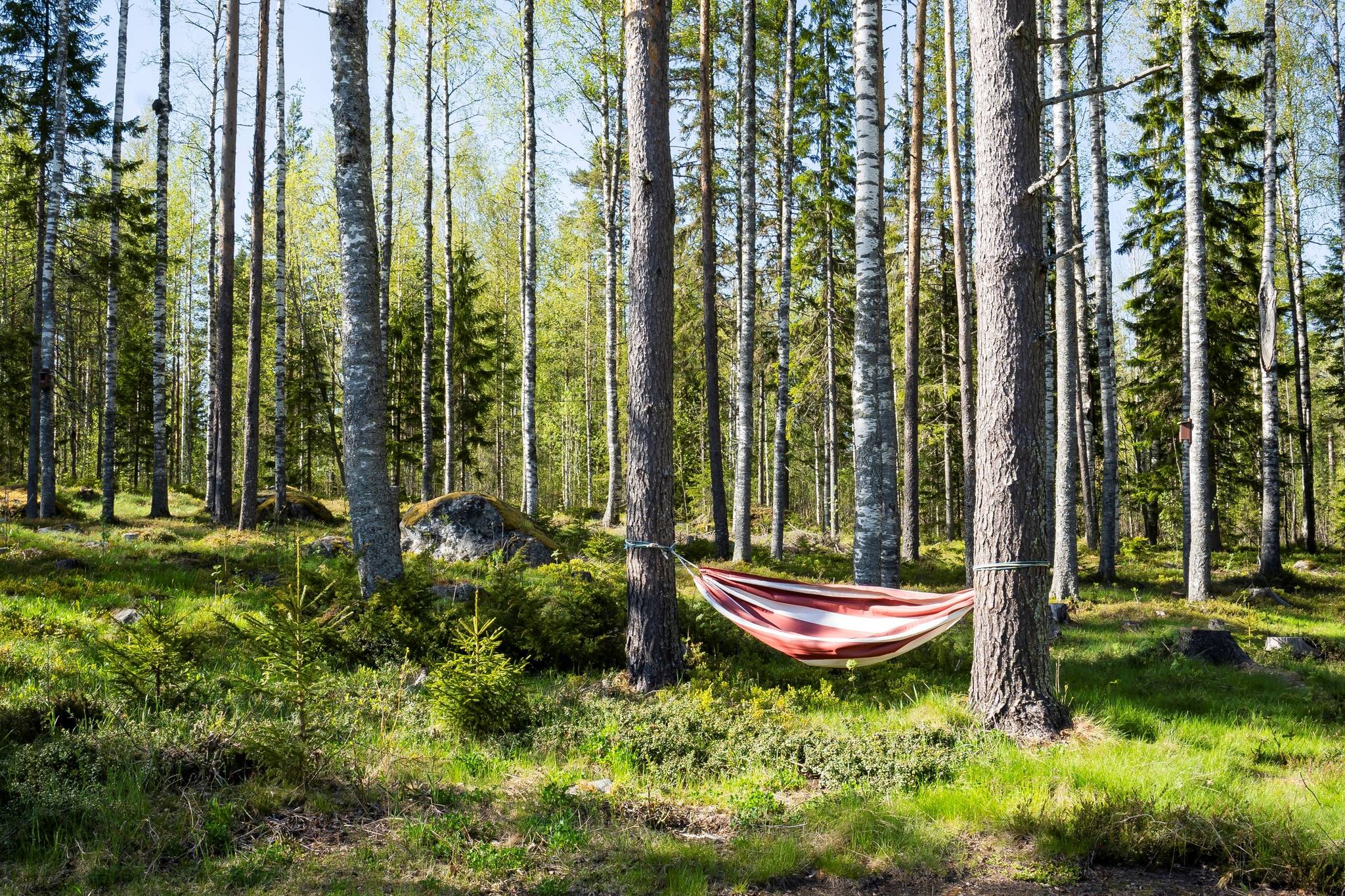 6 rum Villa på Kasamark 530 Umeå kommun - bild 41