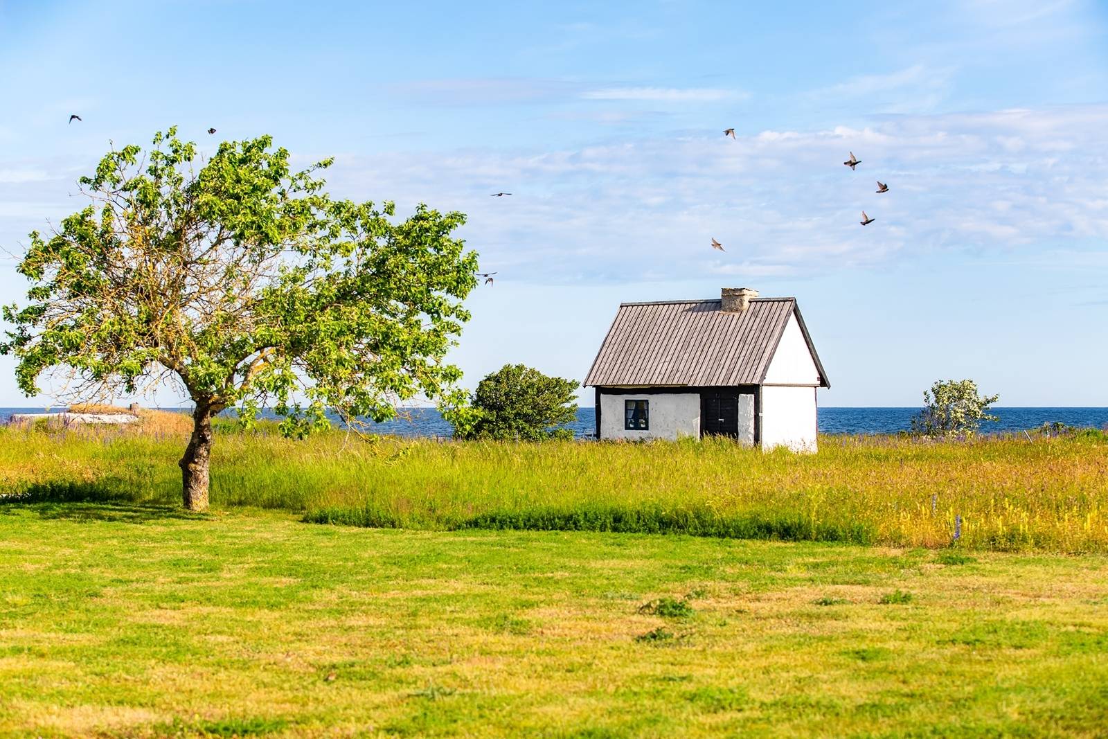 4 rum Villa på Eskelhem Lingsarve 309B Eskelhem Gotlands kommun - bild 35