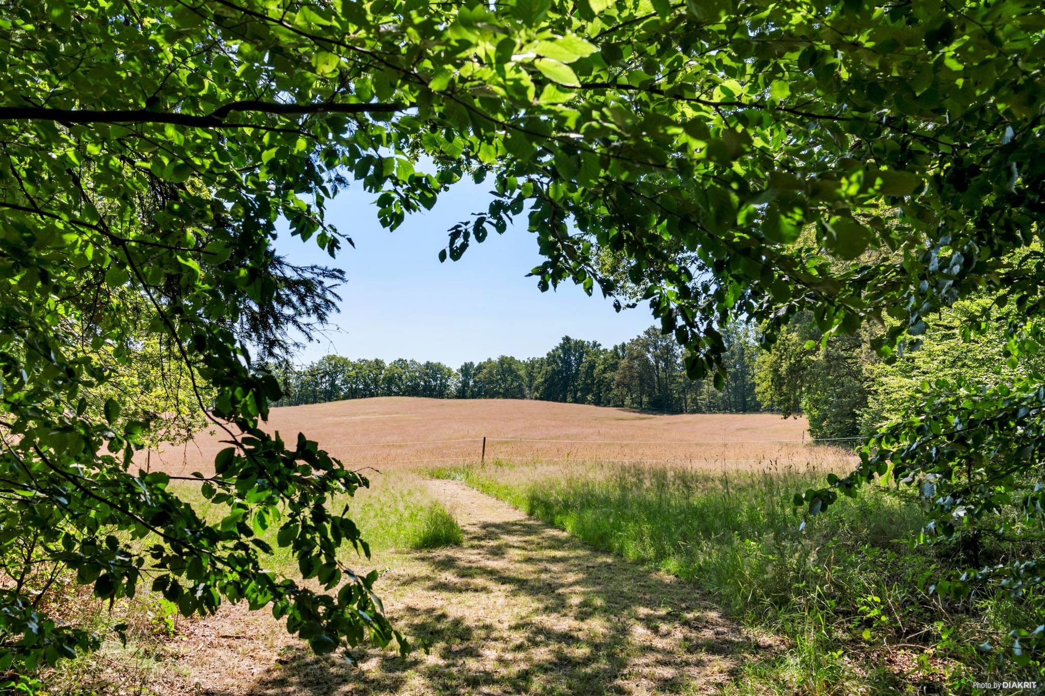 5 rum Gård/skog på Slättåkra 917 Ljungbyhed Klippans kommun - bild 62