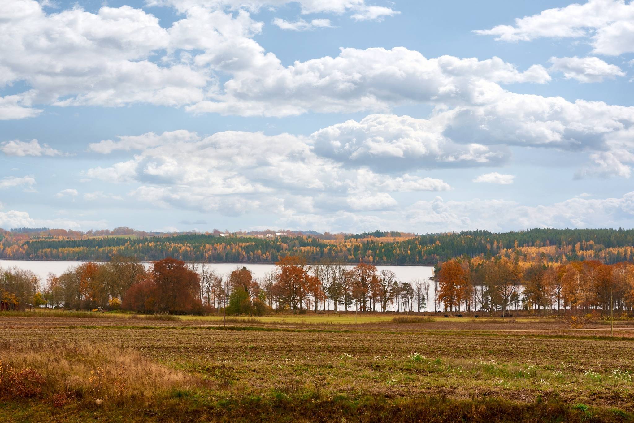 5 rum Villa på Löpanäsvägen 65 Rottne Växjö kommun - bild 39