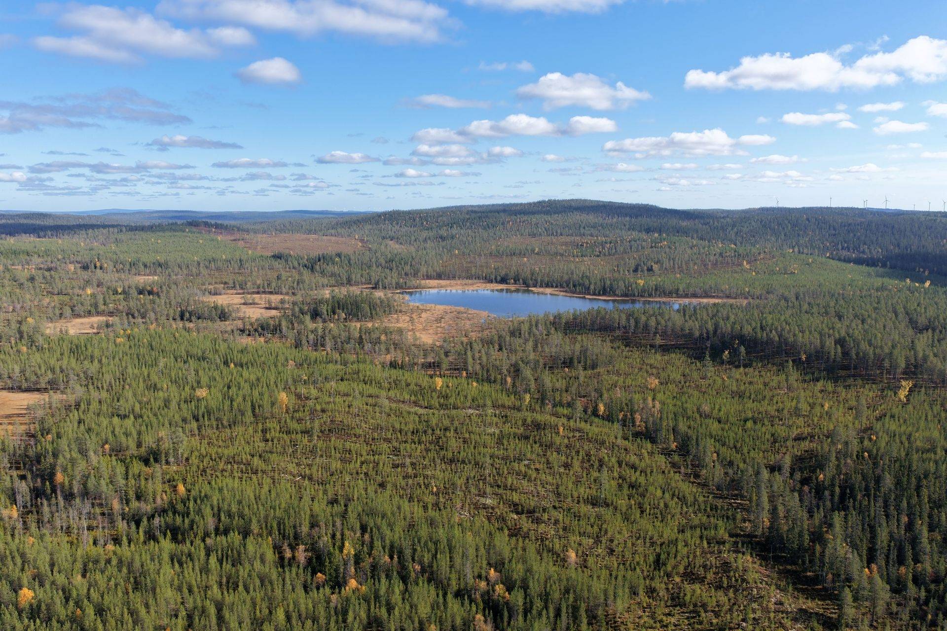 Gård/skog på Limbäck 103:2 Mora kommun - bild 13