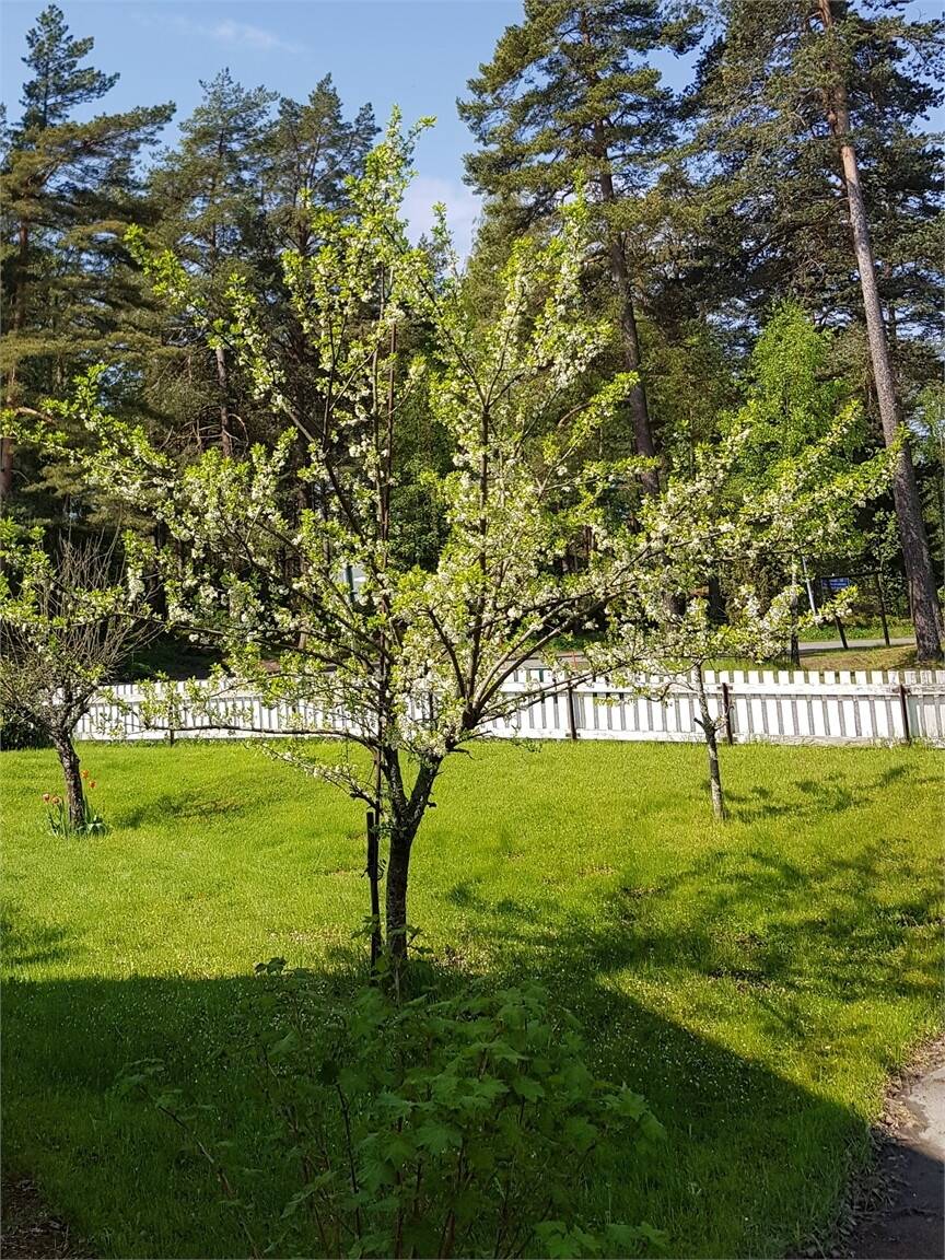3 rum Villa på Voltvägen 5 Fagerhult Habo kommun - bild 32
