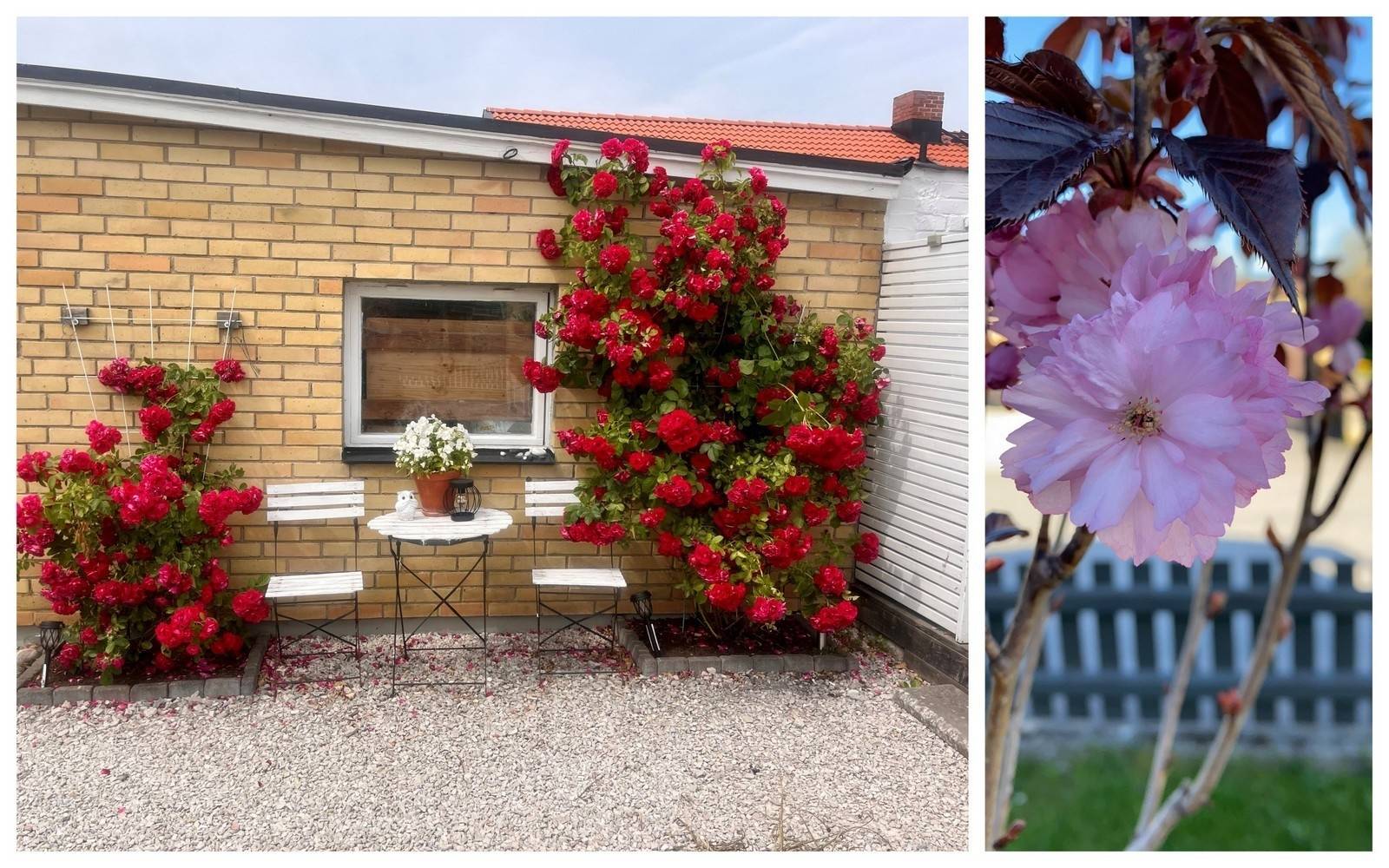 3 rum Villa på Ölandsgatan 11 Visby Söder Gotlands kommun - bild 53