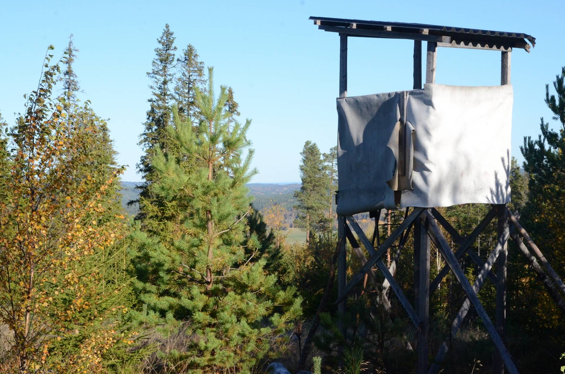 Gård med skogsbruk på Österfors Gagnefs kommun - bild 8