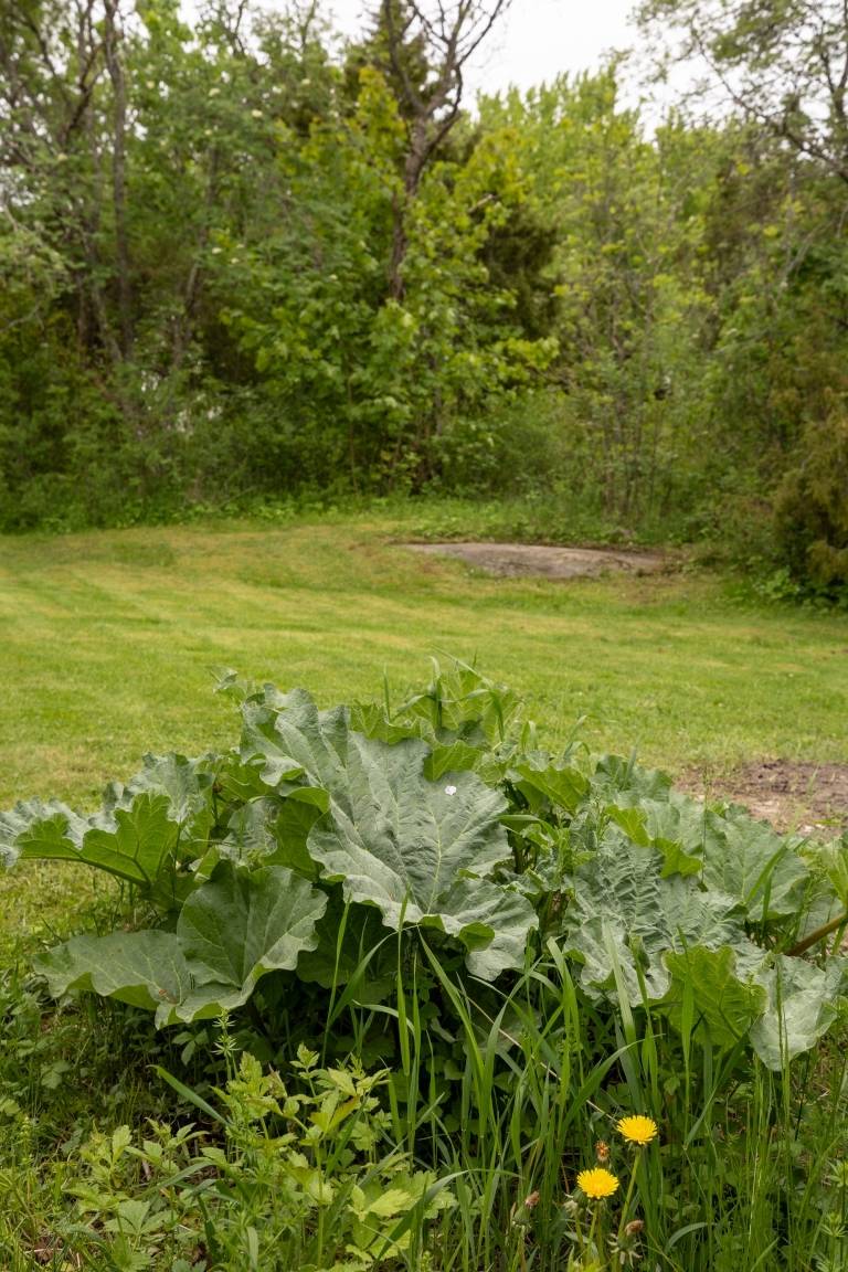 6 rum Villa på Prästvägen 16 Lillkyrka Enköpings kommun - bild 46