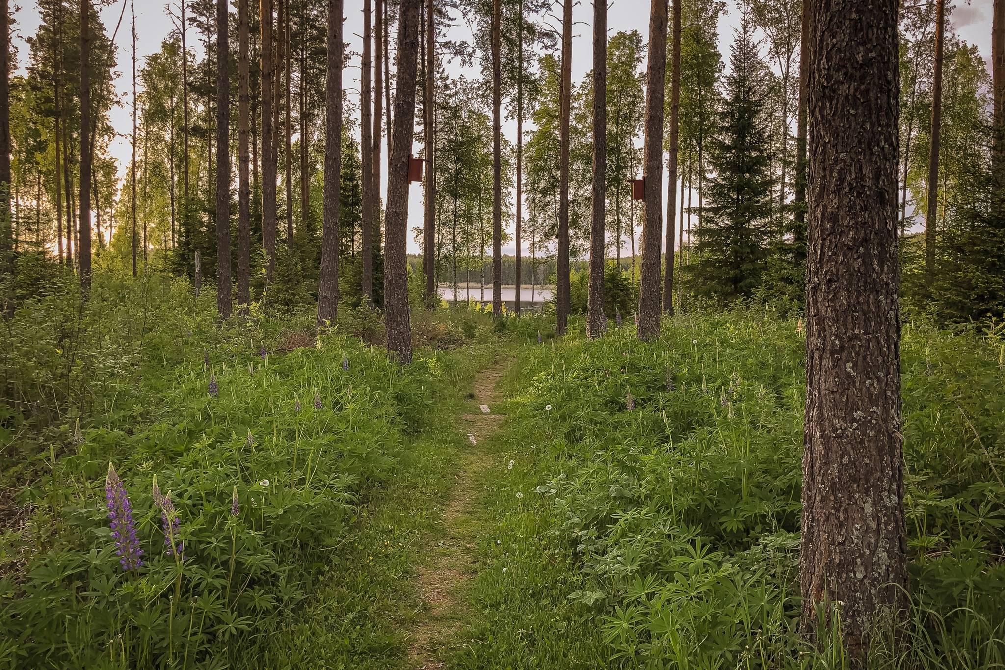 2 rum Fritidshus på Botorp 812 Botorp Karlstads kommun - bild 14