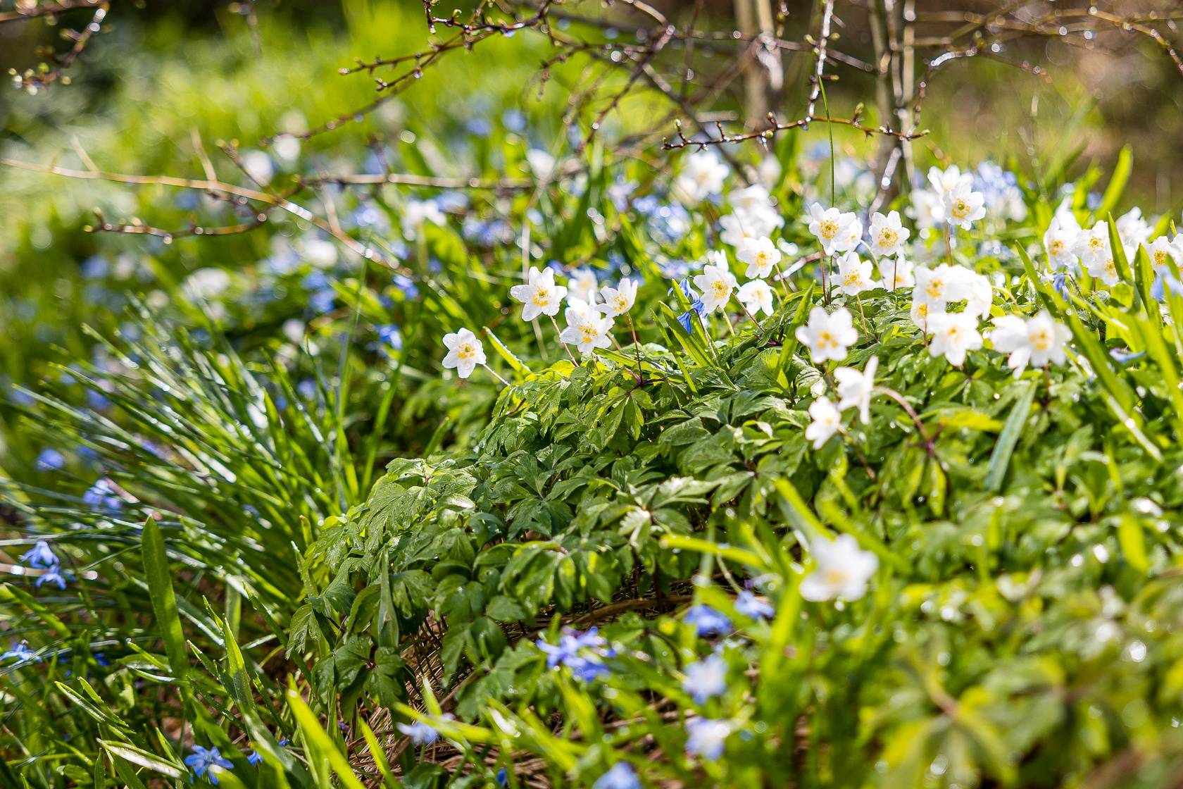 5 rum Villa på Mellanvägen 5 Edsbruk Västerviks kommun - bild 71