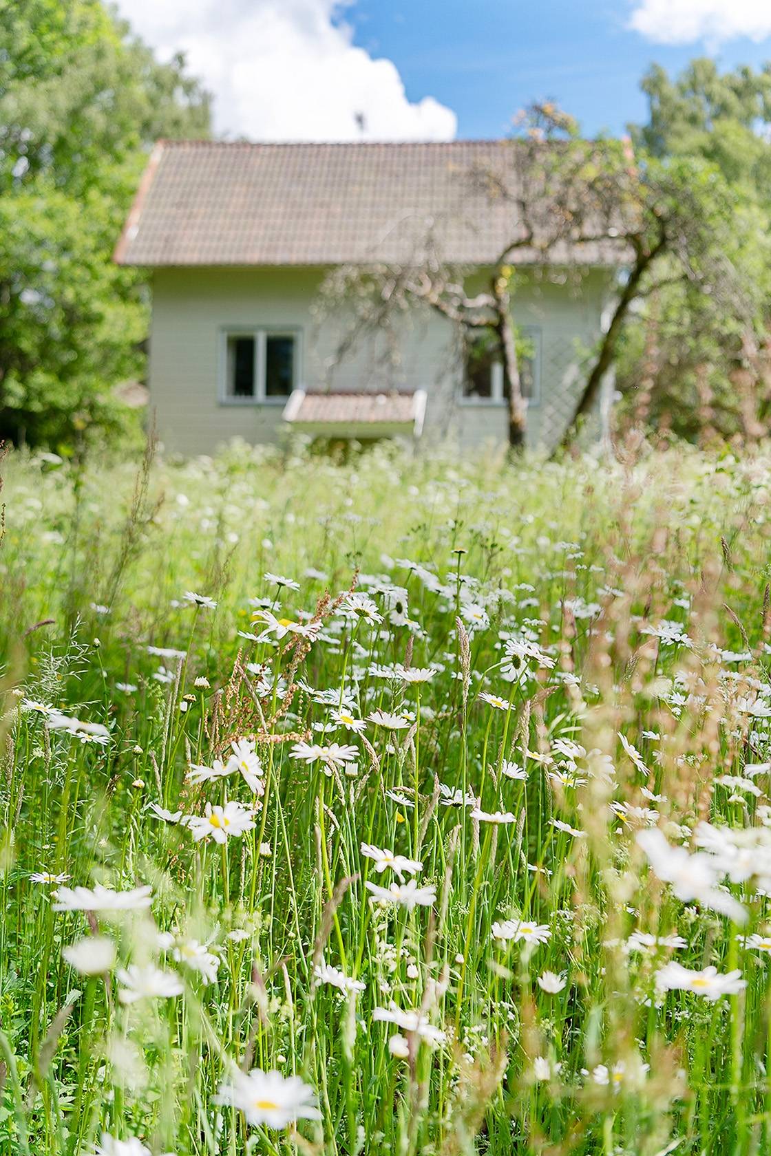 7 rum Villa på Fiskestad Korrö 34 Väckelsång Tingsryds kommun - bild 9