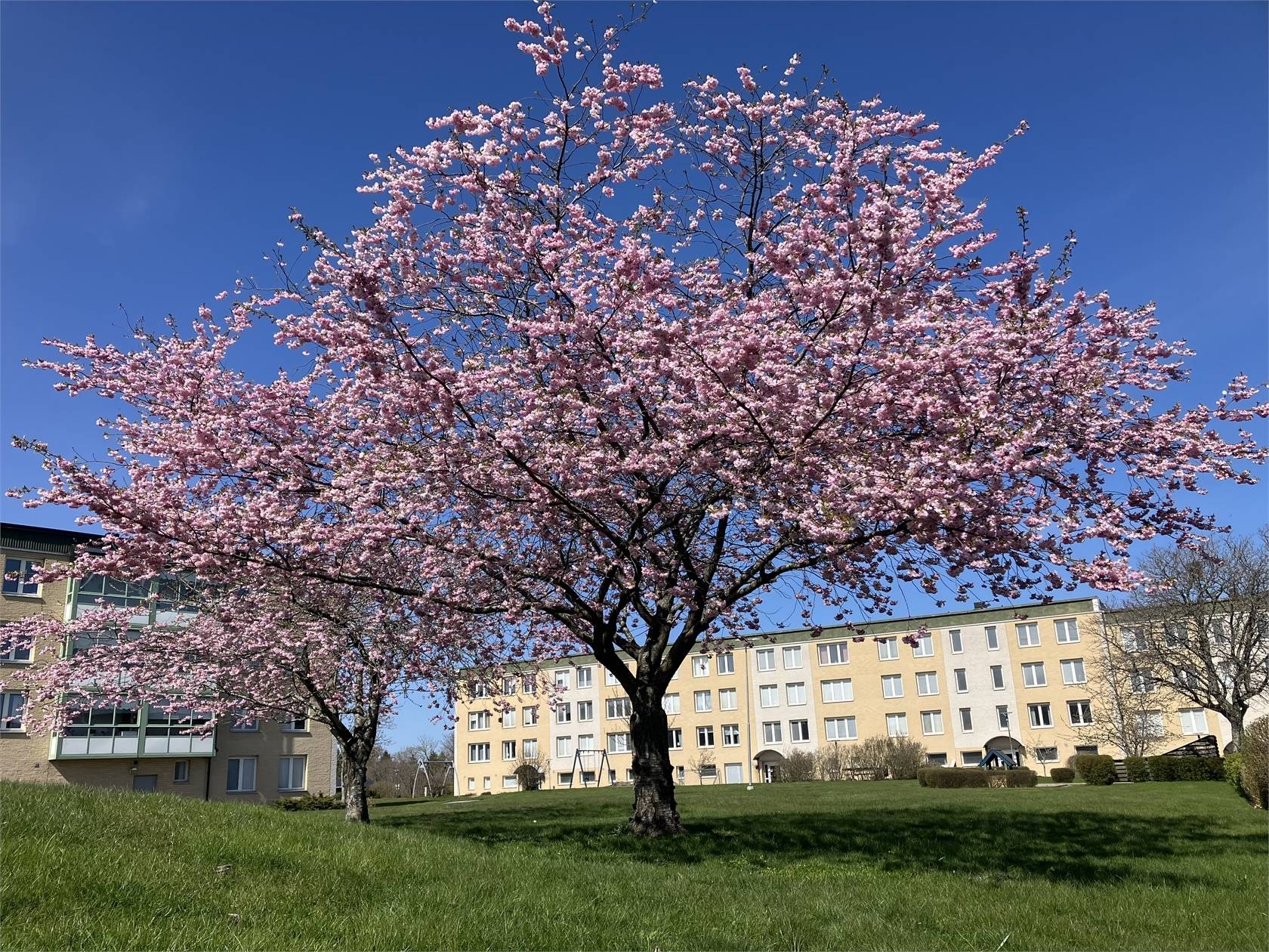 3 rum Lägenhet på Frösängsvägen 42 Frösäng Oxelösunds kommun - bild 19