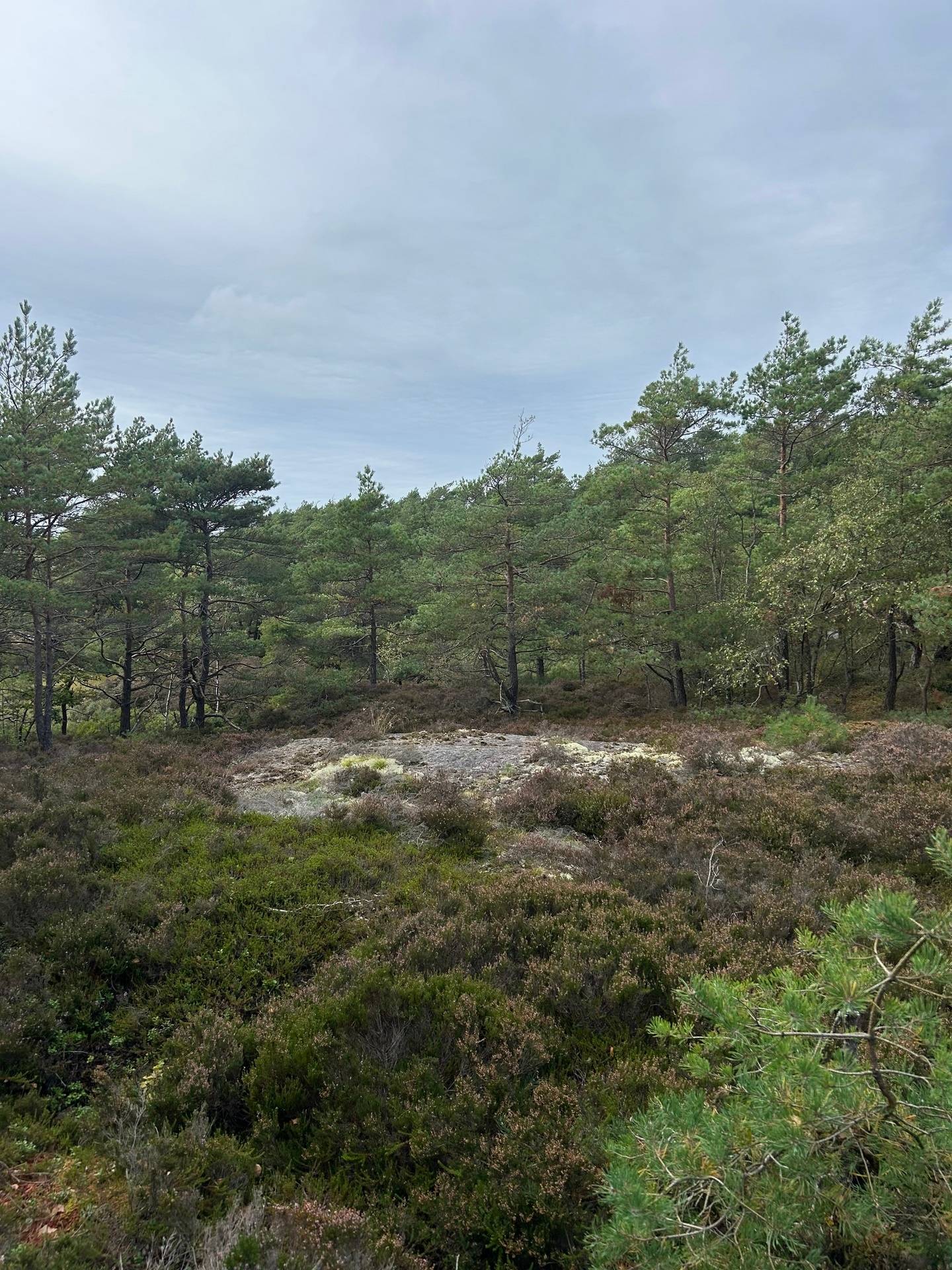 8 rum Gård med jordbruk på Bro 521 Ellös Orust kommun - bild 25