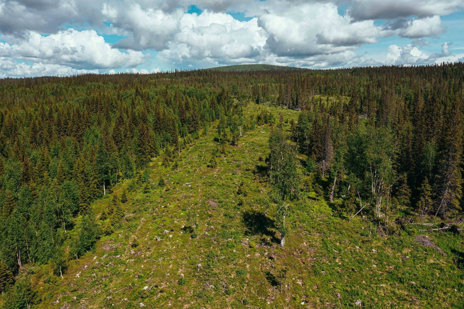 Gård/skog på Rännön Krokoms kommun - bild 10