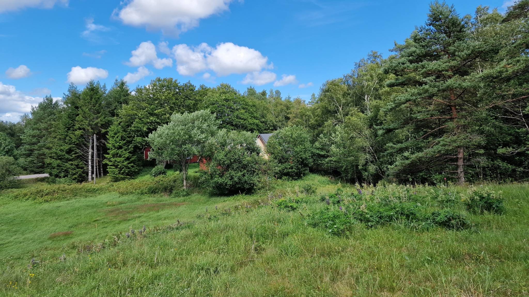 5 rum Vinterbonat fritidshus på Norra Össjö 110 Laholms kommun - bild 93