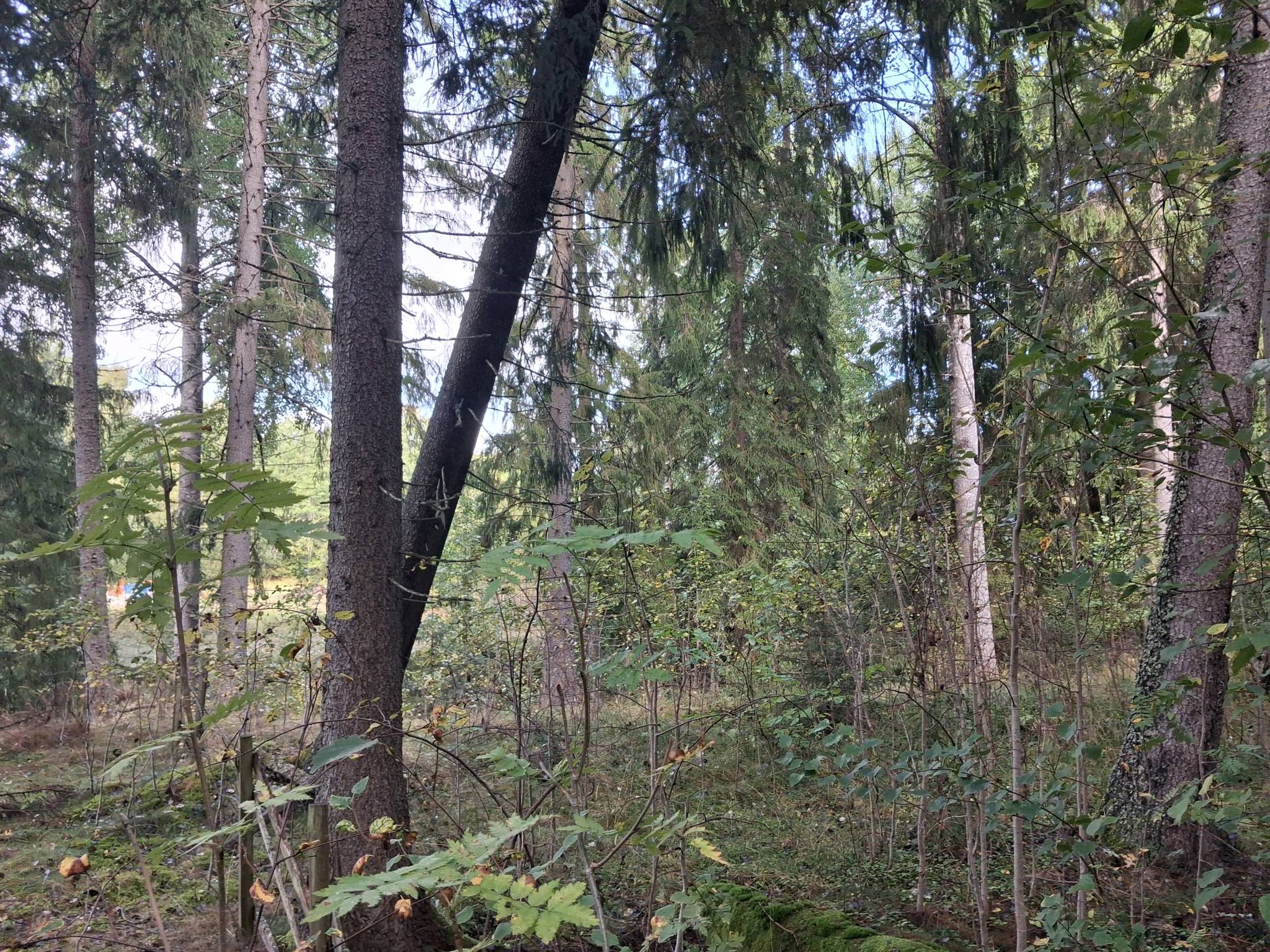 204 m² Gård/skog på Östanbergshyttan Lobacken 106 Nora kommun - bild 35