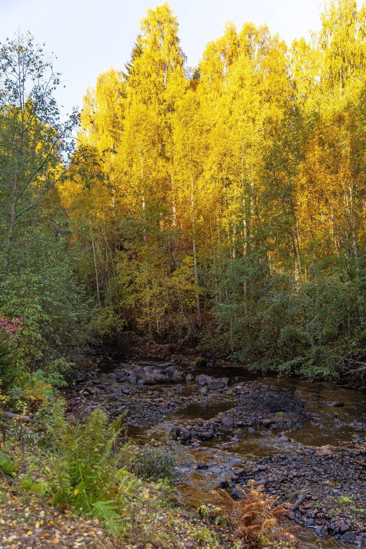 6 rum Villa på Bryggerivägen 22 Hemus Mora kommun - bild 61