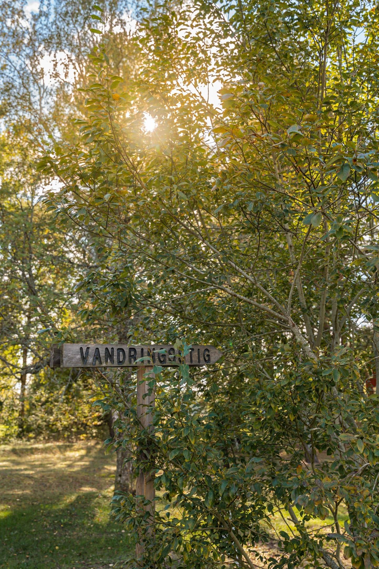 3 rum Villa på Norra Vinön 533 Vinön Örebro kommun - bild 51