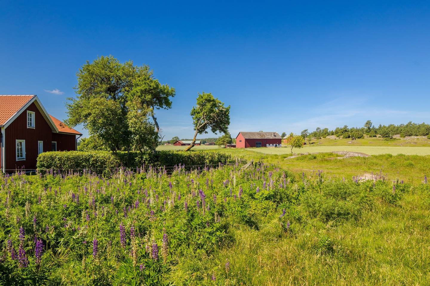 6 rum Villa på Norra Kedum Pilebo 1 Örslösa - Söne - Norra Kedum Lidköpings kommun - bild 14
