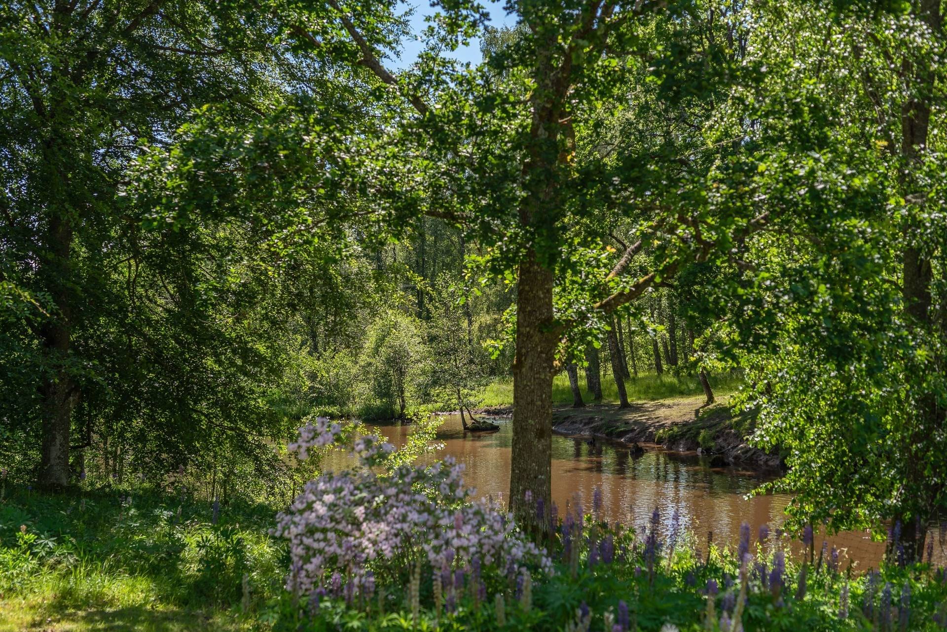5 rum Vinterbonat fritidshus på Bo Fridhem 511 Bo - Hjortkvarn Hallsbergs kommun - bild 42