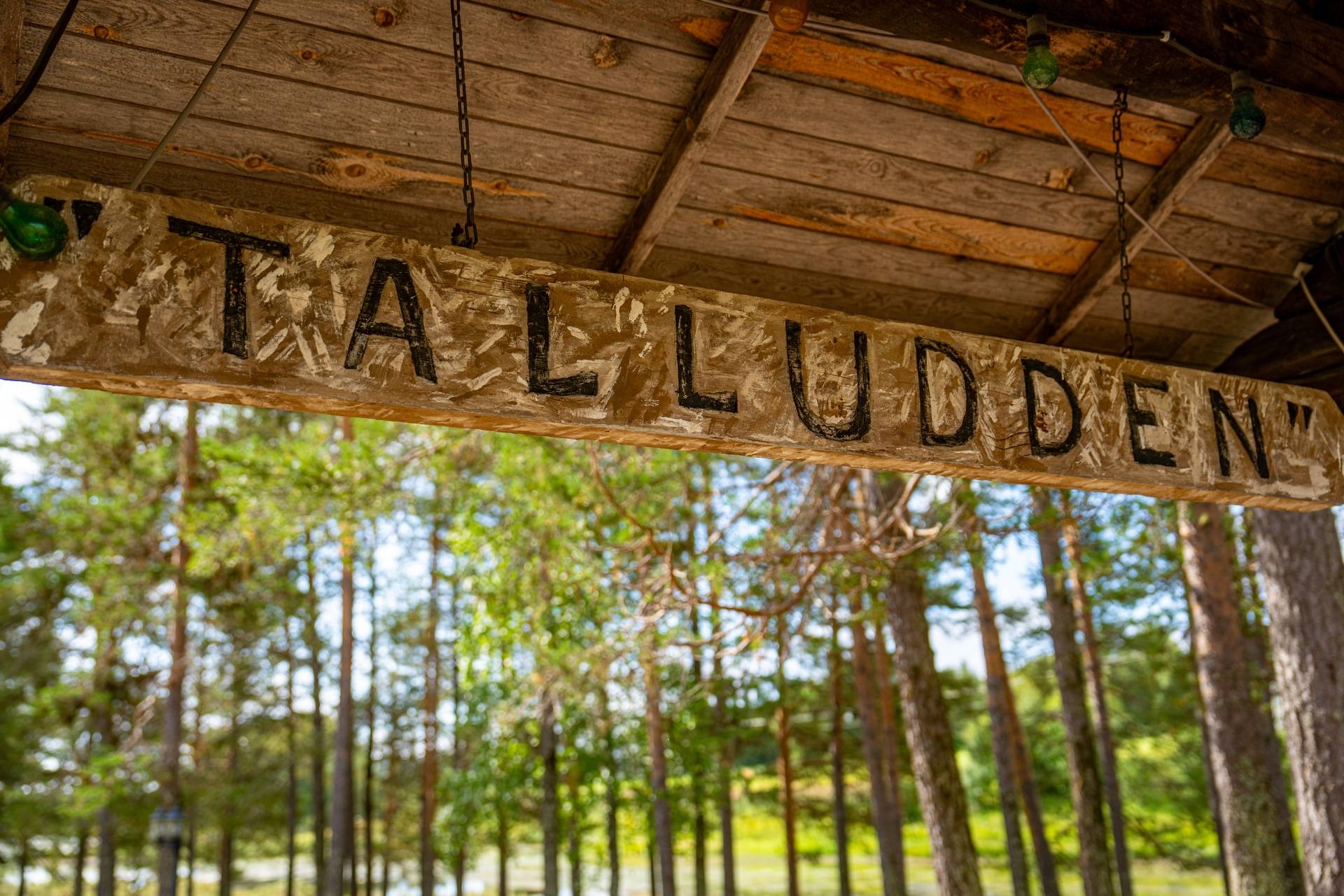 Gård/skog på Talludden - Sandsele 2:59 Sorsele kommun - bild 12