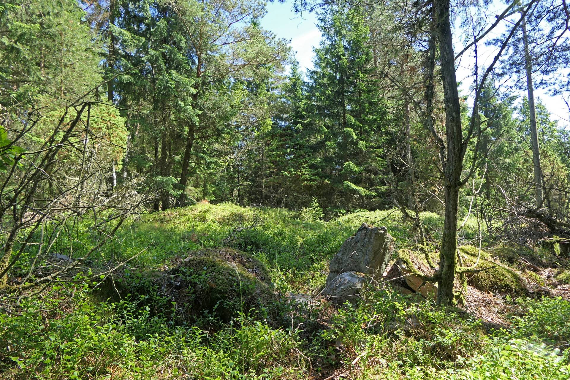 Gård/skog på Skvalpan Göteborgs kommun - bild 7
