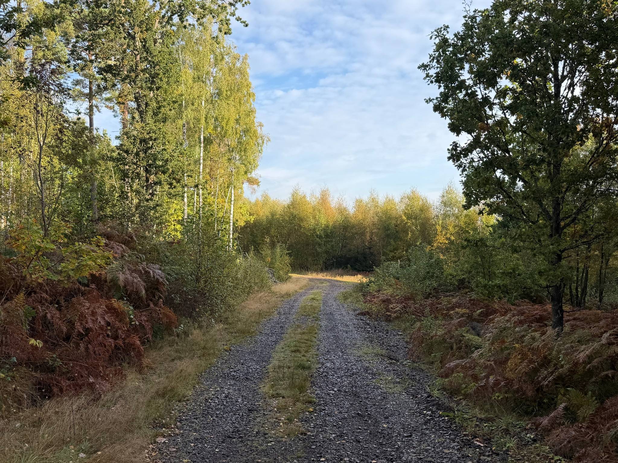 Gård/skog på Del av Hornaryd Hörnegård 2 Braås Växjö kommun - bild 4
