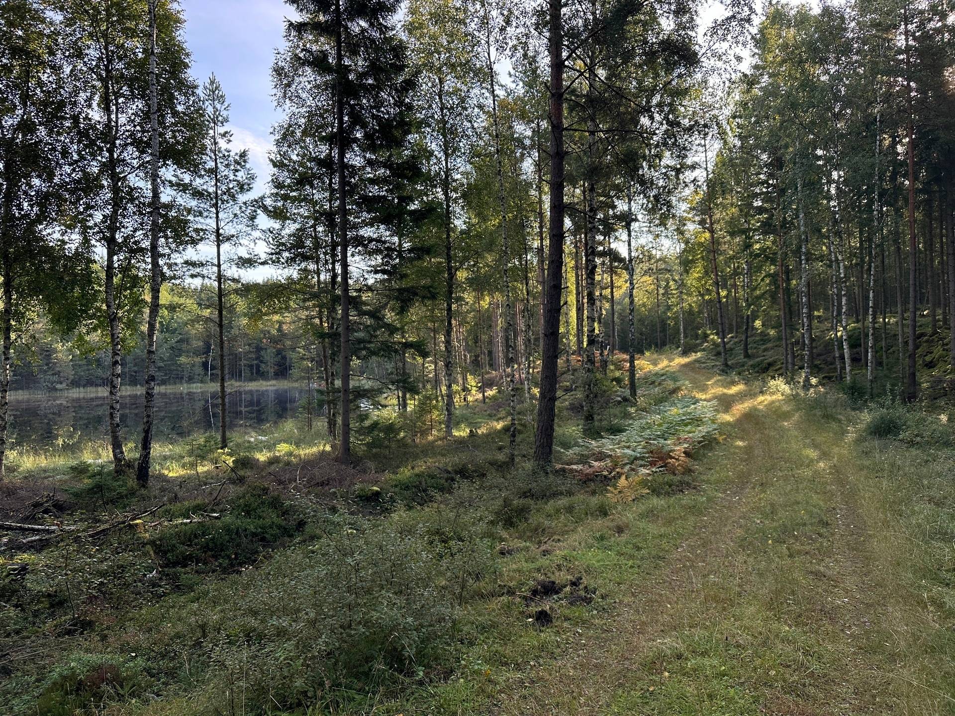 Gård med skogsbruk på MARK ANABÄCKSHULT 2:14 Anabäckshult Marks kommun - bild 6