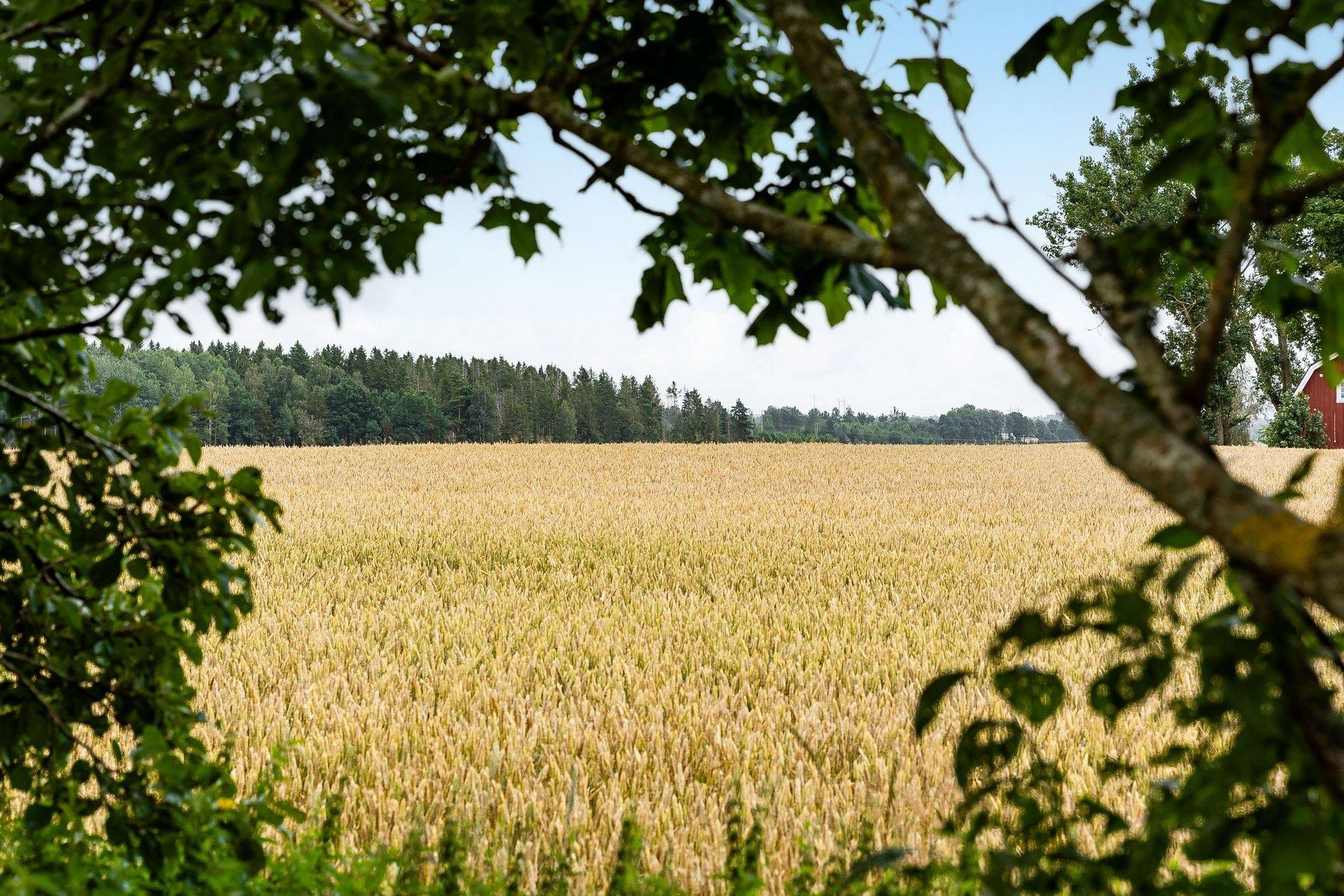 3 rum Villa på Appuna Östergård 2 Mjölby kommun - bild 16