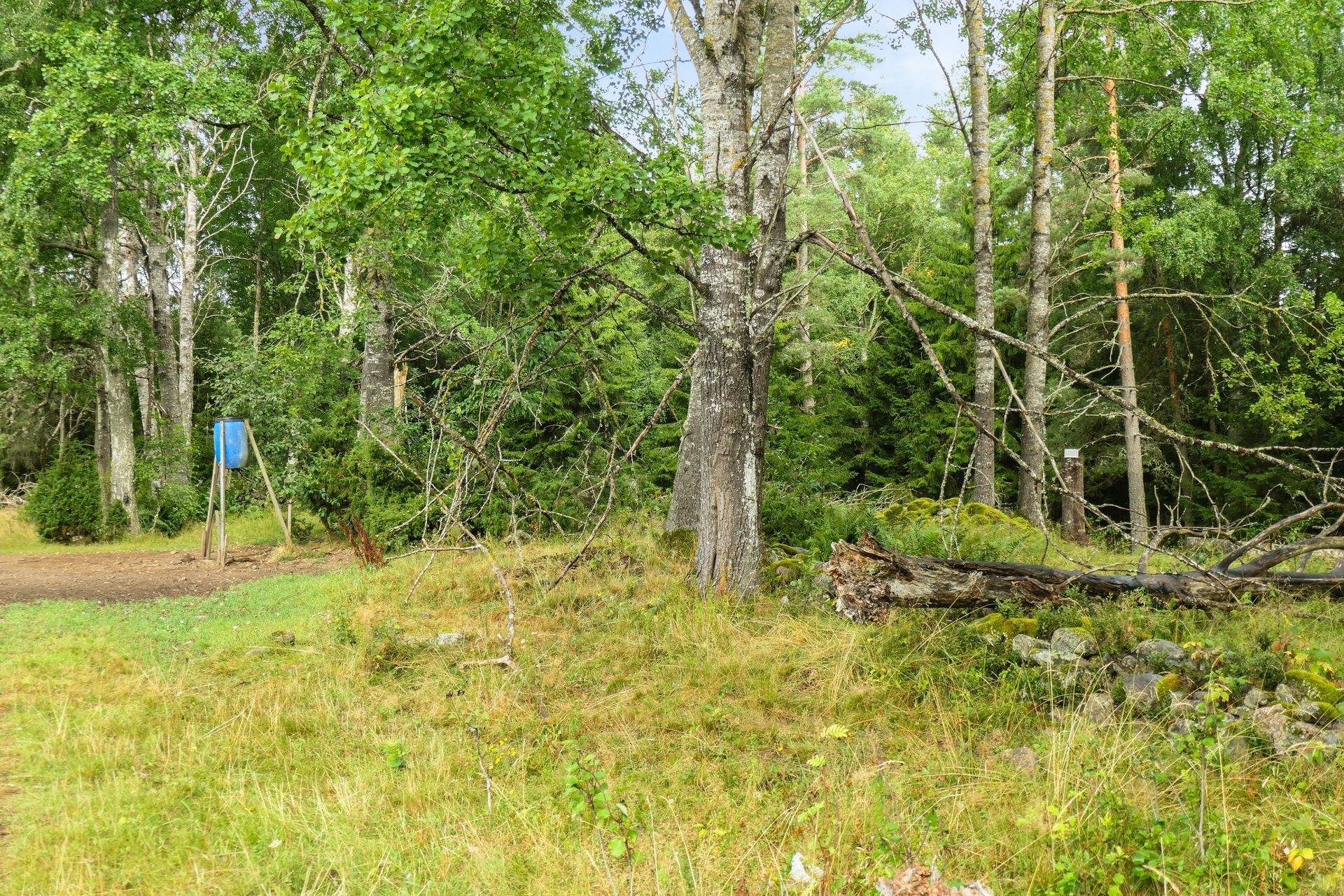 Gård/skog på Galneryd 1 Hjo kommun - bild 3