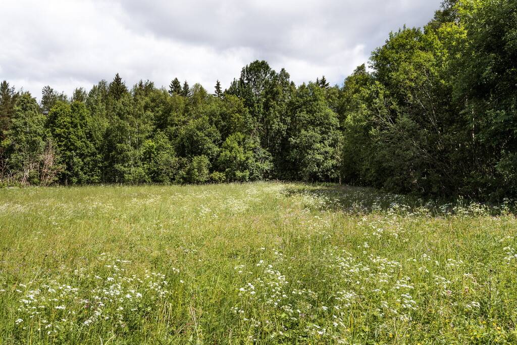1 rum Fritidsboende på Änderåsen Bergslagsvägen 11 BODA KYRKBY Rättviks kommun - bild 19