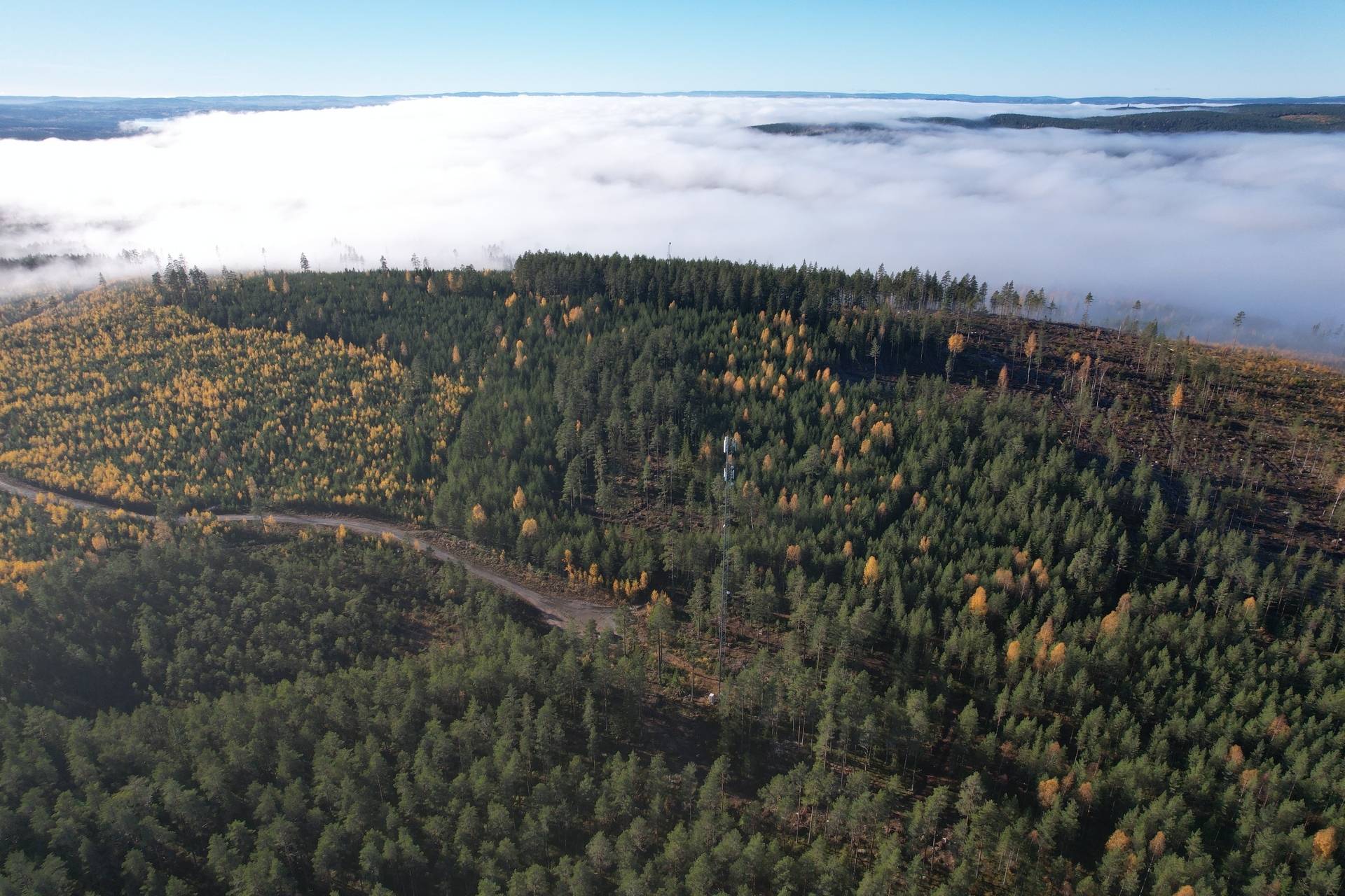 Gård med skogsbruk på Utanmyra Falu kommun - bild 29