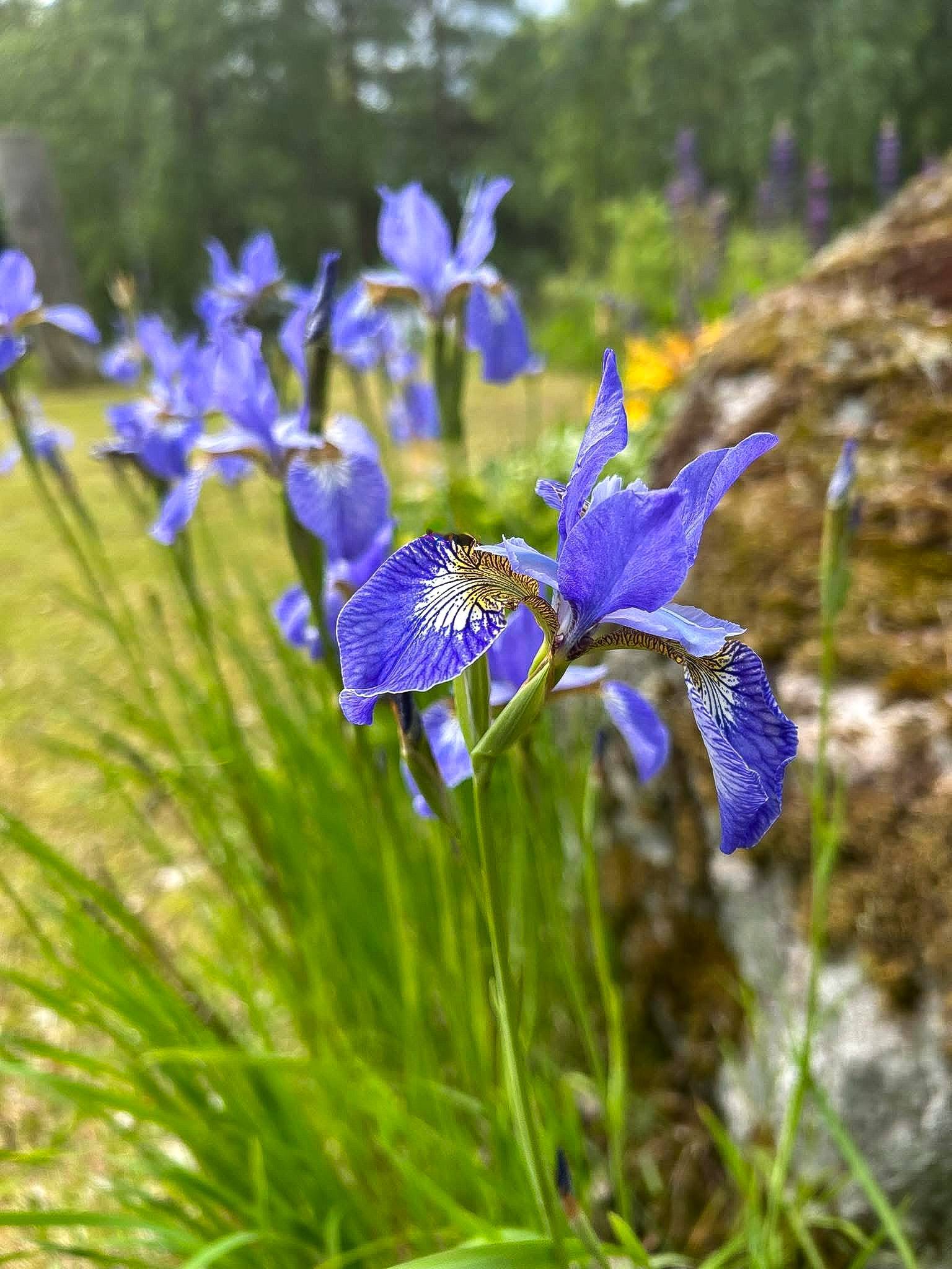 2 rum Fritidshus på Bofinkvägen 7 Söderhamns kommun - bild 20