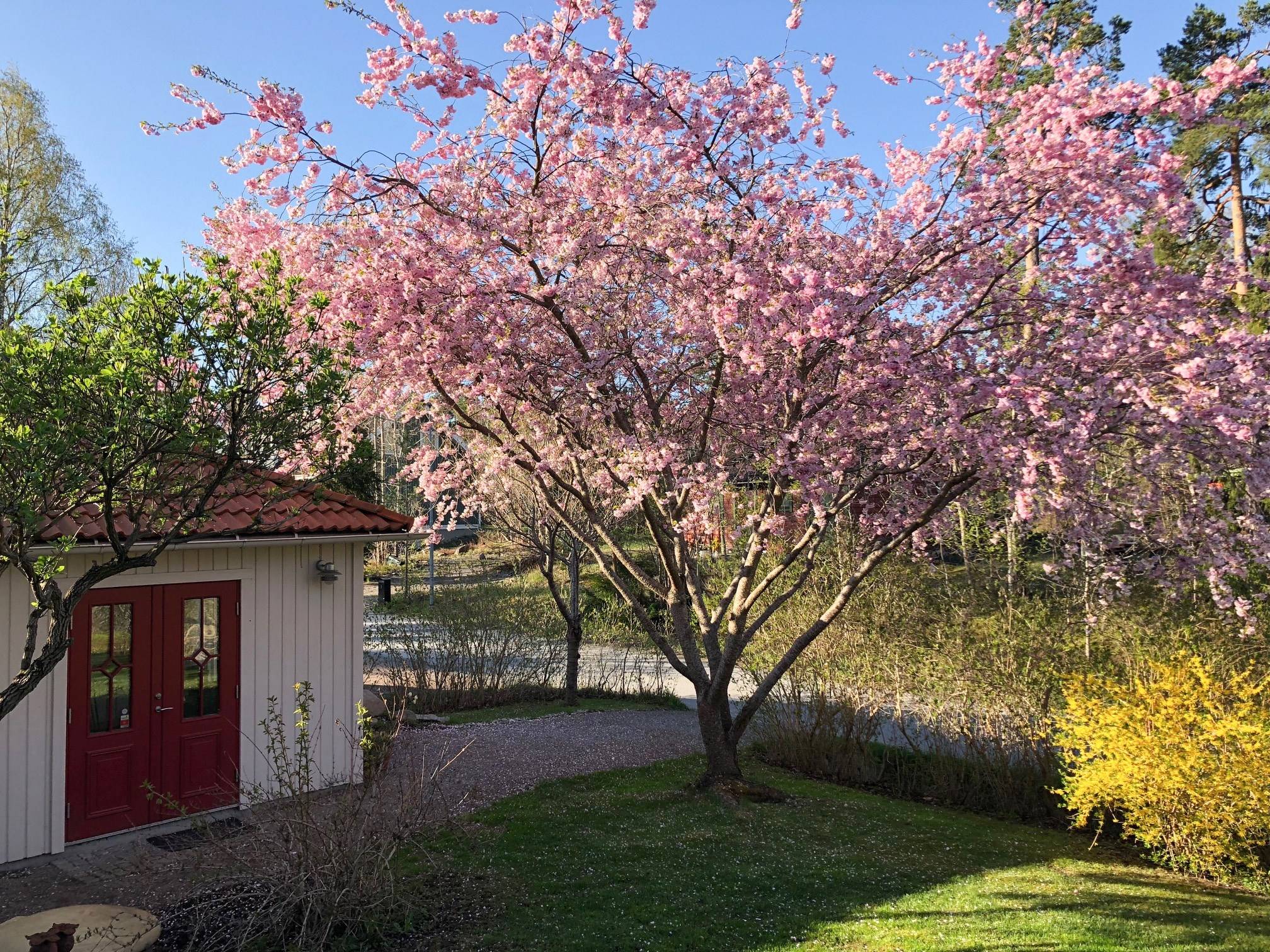 6 rum Villa på Vittravägen 8 Hasseludden Nacka kommun - bild 69