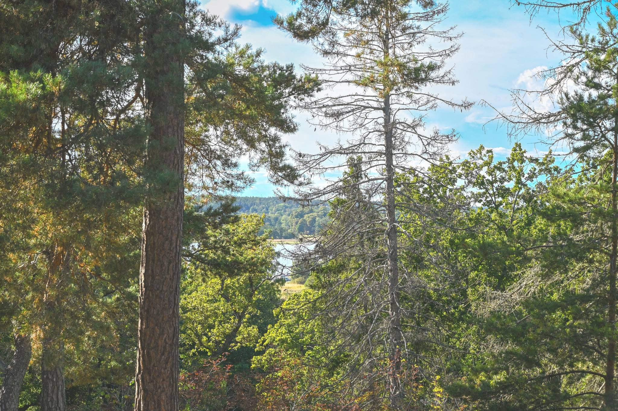 6 rum Villa på Villa Nytorpshöjden Trinntorp Tyresö kommun - bild 50