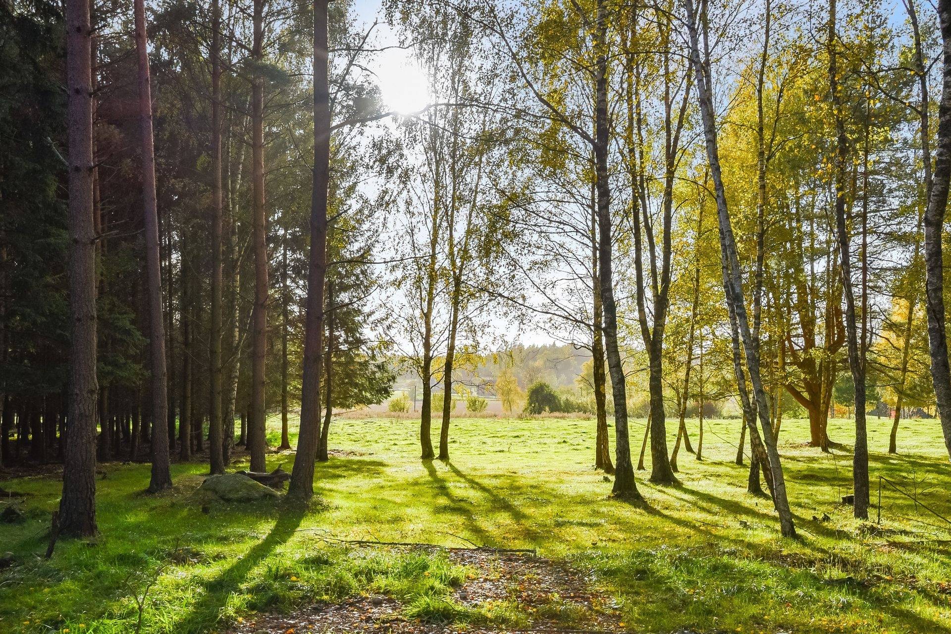 135 m² Gård med skogsbruk på Värestorp 2076 Östra Göinge kommun - bild 82