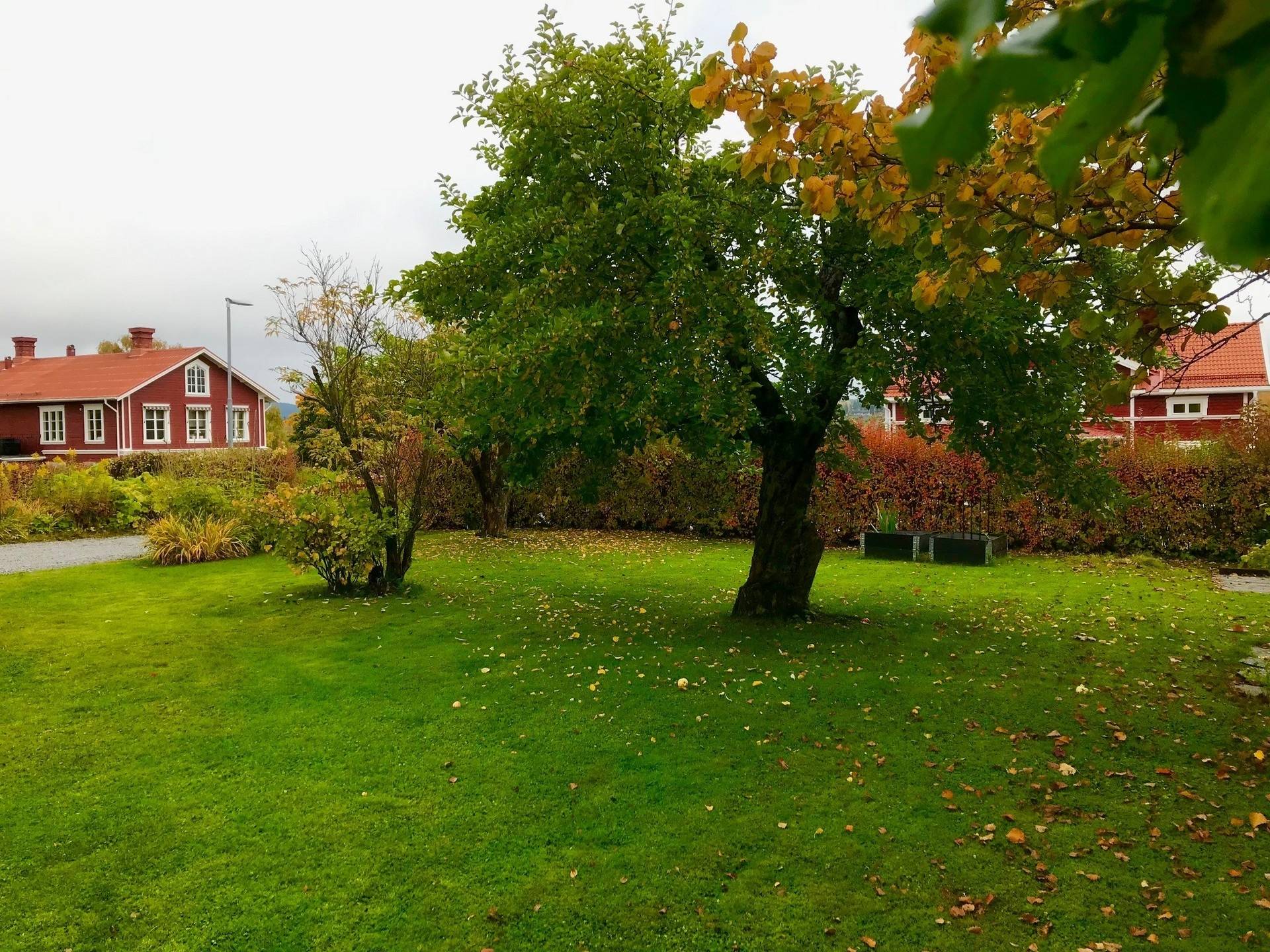 10.5 rum Villa på Kyrkbyvägen 9 Centrala Järvsö Ljusdals kommun - bild 54