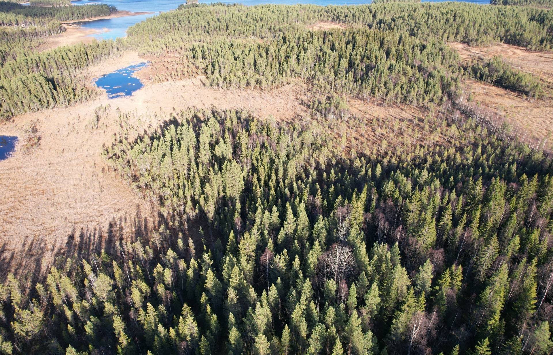 Gård med skogsbruk Gunnarn Storumans kommun - bild 8
