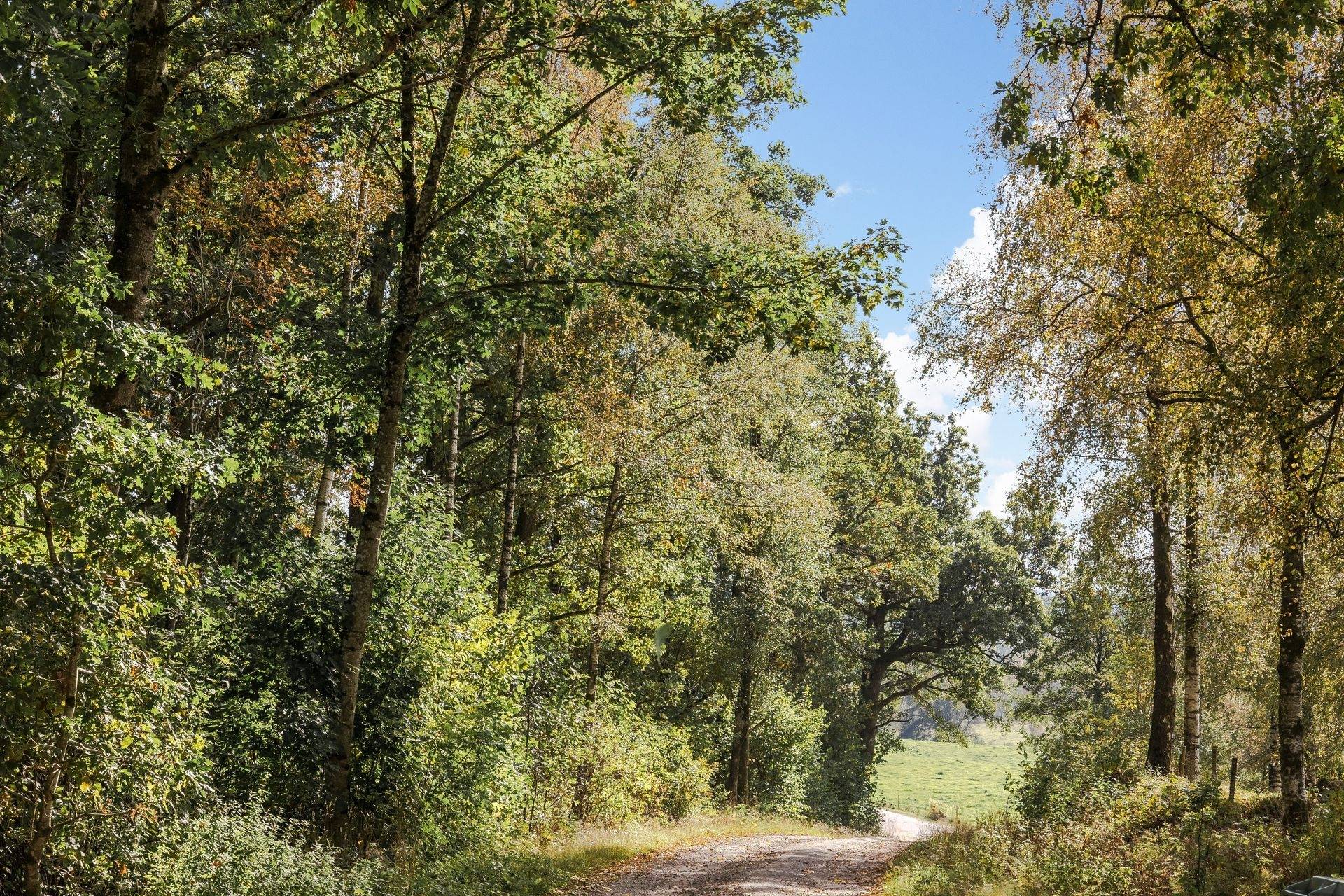 3 rum Villa på Norrskog 108 Gällared Falkenbergs kommun - bild 32
