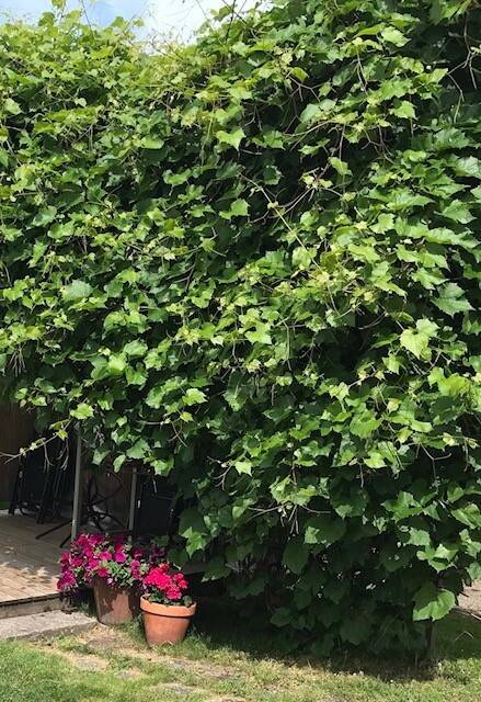 5 rum Villa på Blomstervägen 5 Skranta Karlskoga kommun - bild 35