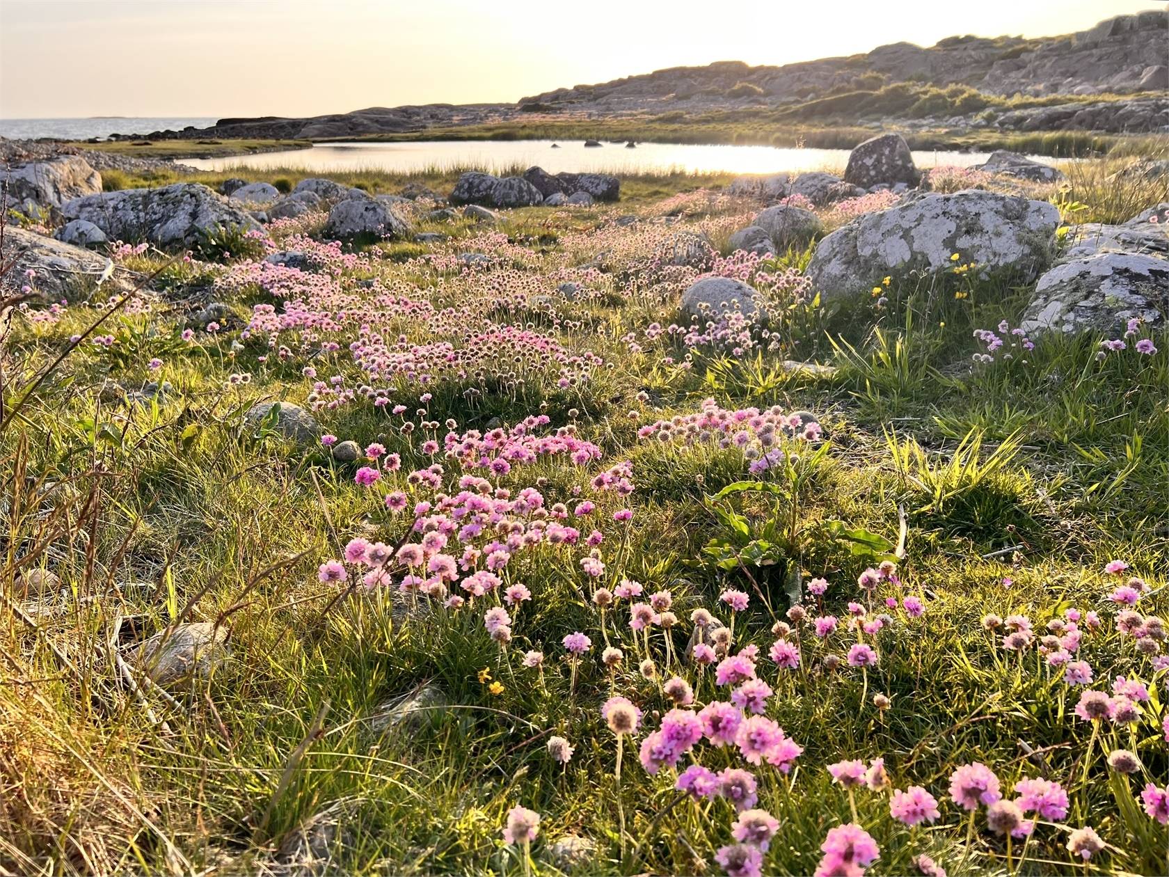 3 rum Villa på Ripstigen 17 Espevik Varbergs kommun - bild 40