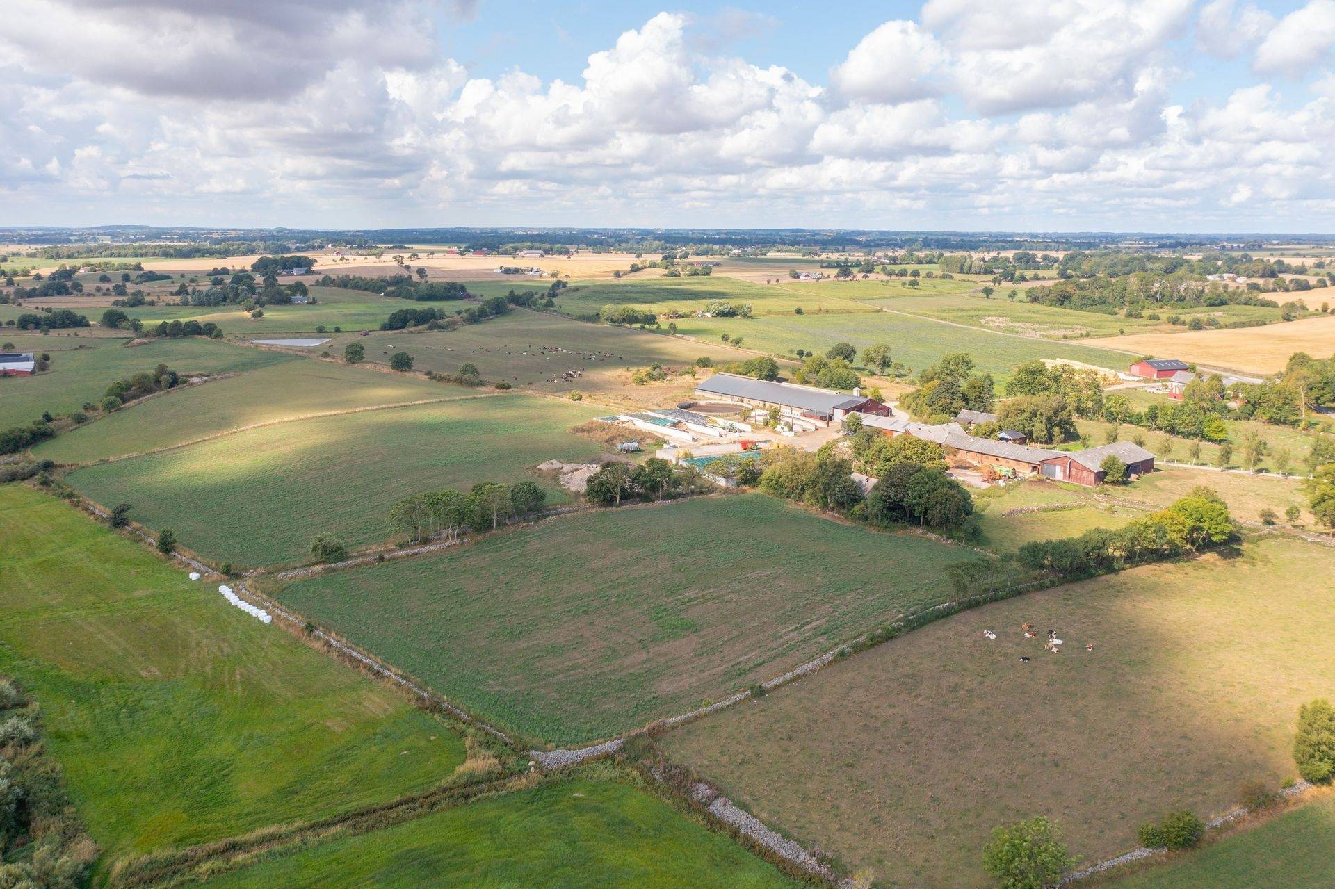 Gård med jordbruk på Östra Klasarödsvägen 262-16 Sjöbo kommun - bild 2