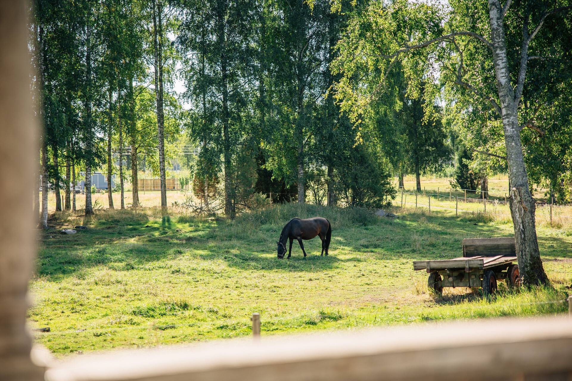 4 rum Gård utan jordbruk på Borreboda Sörgården 23 Borreboda Töreboda kommun - bild 65