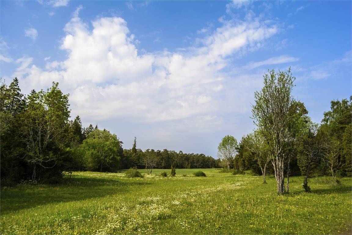 3 rum Lägenhet på Kyrkvägen 2C Norra Gotland Gotlands kommun - bild 29