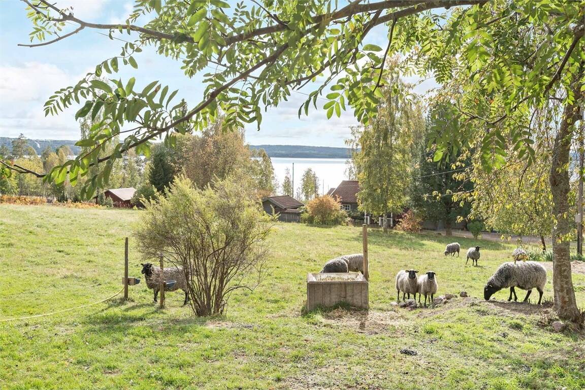 5 rum Villa på Sjurberg Jones väg 3 Sjurberg Rättviks kommun - bild 2