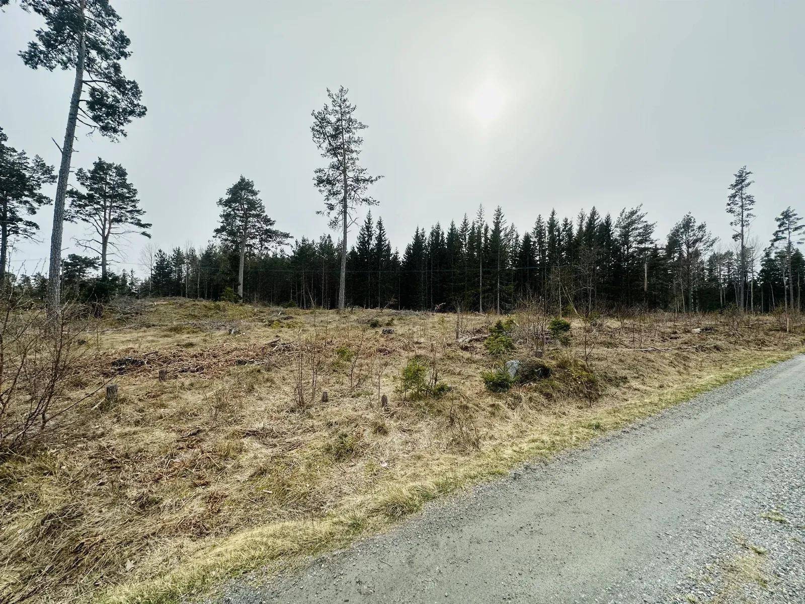 Grisslehamn, Norrtälje kommun