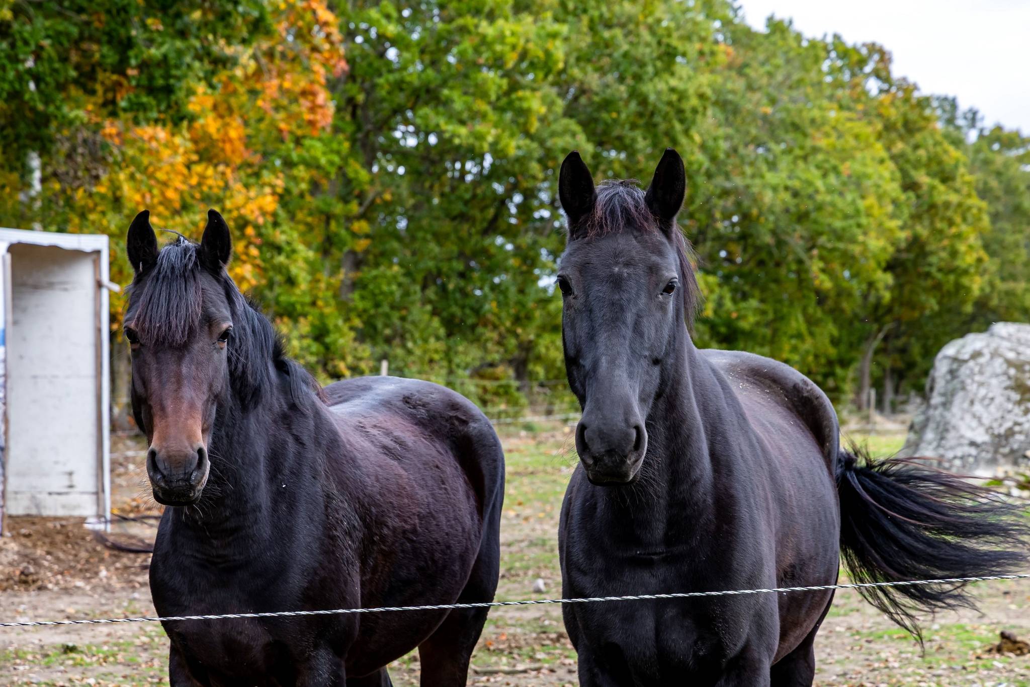 69 m² Villa på Mellanmon 251 Kalmar kommun - bild 23